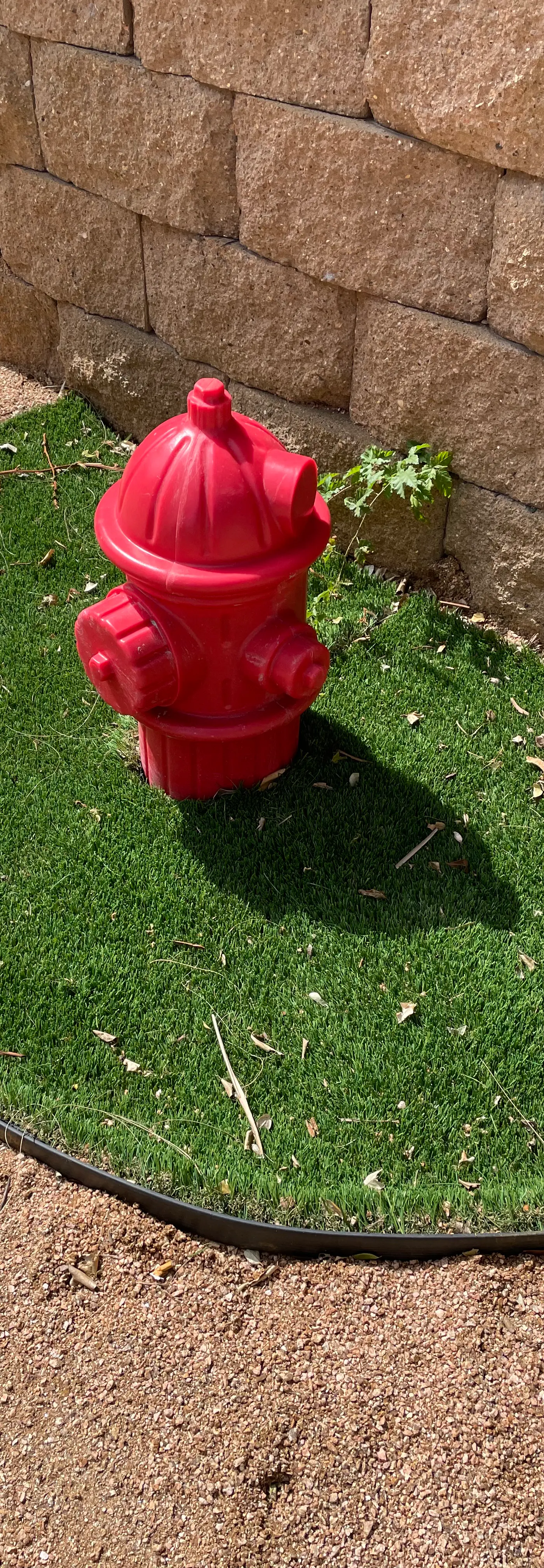 Don't Worry, Beach Happy!