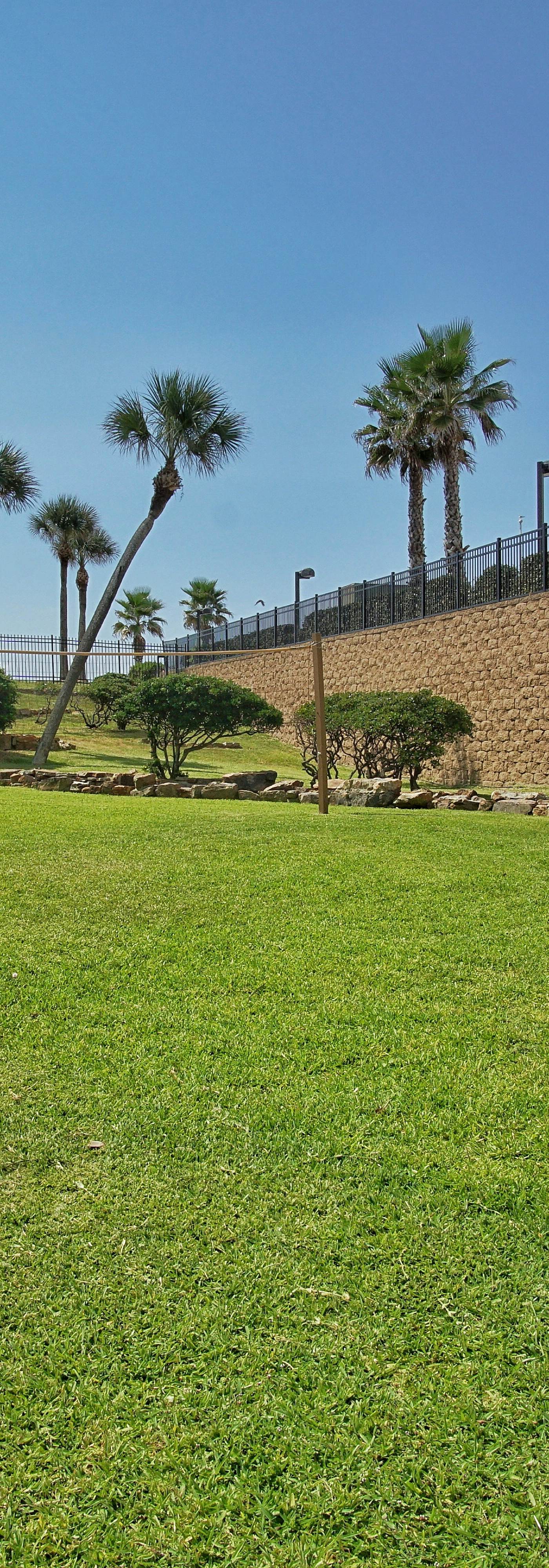 Island Time in Galveston