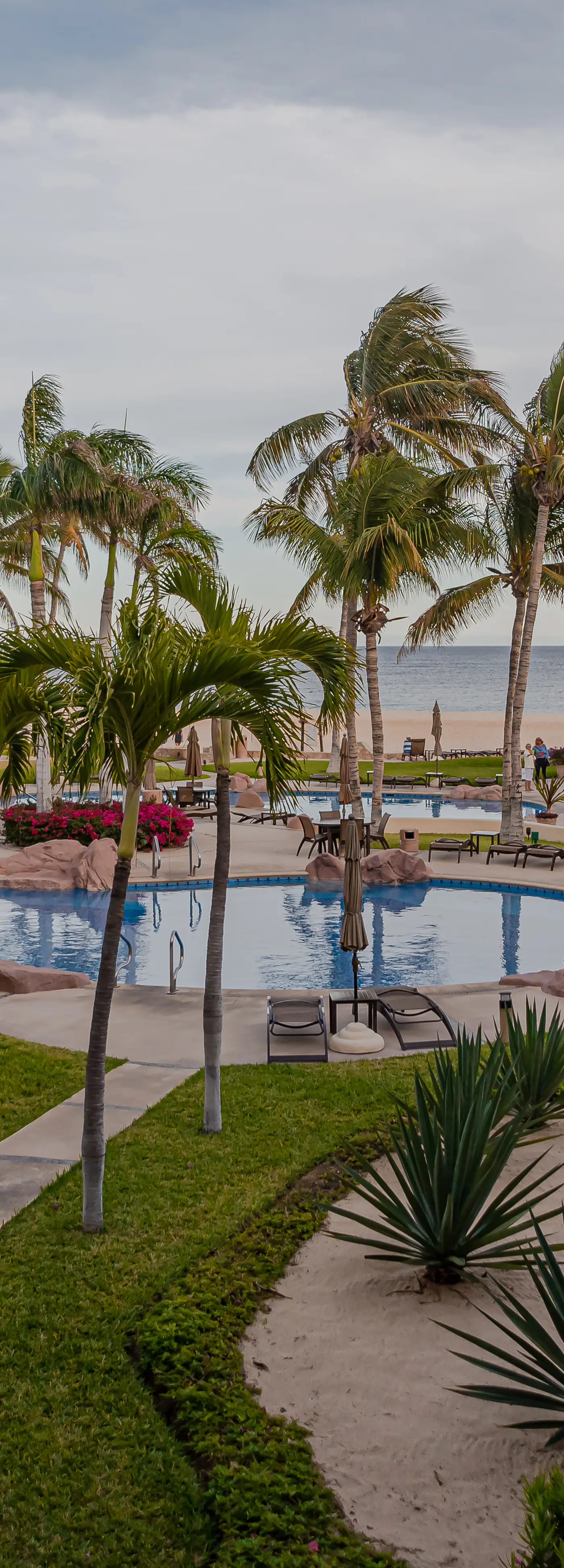 Las Mañanitas LM C208