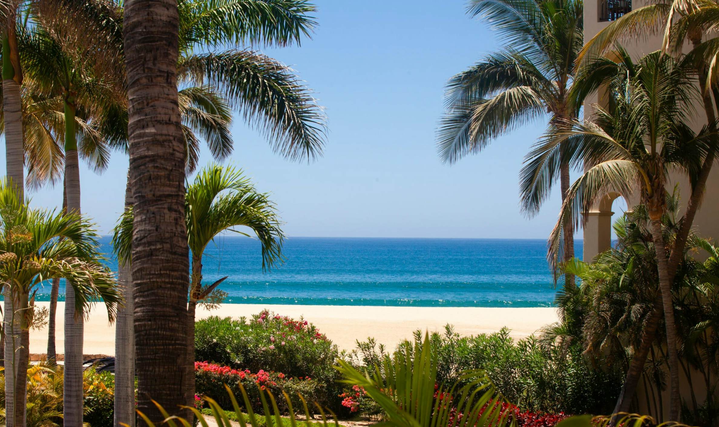 Las Mañanitas LM C209