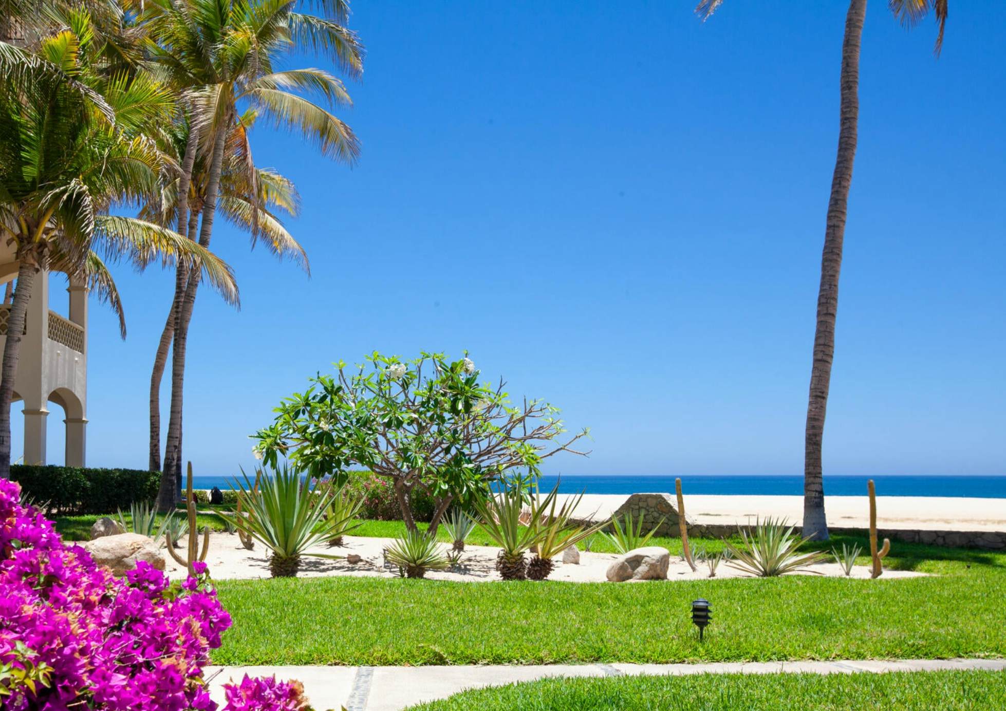 Las Mañanitas LM C209