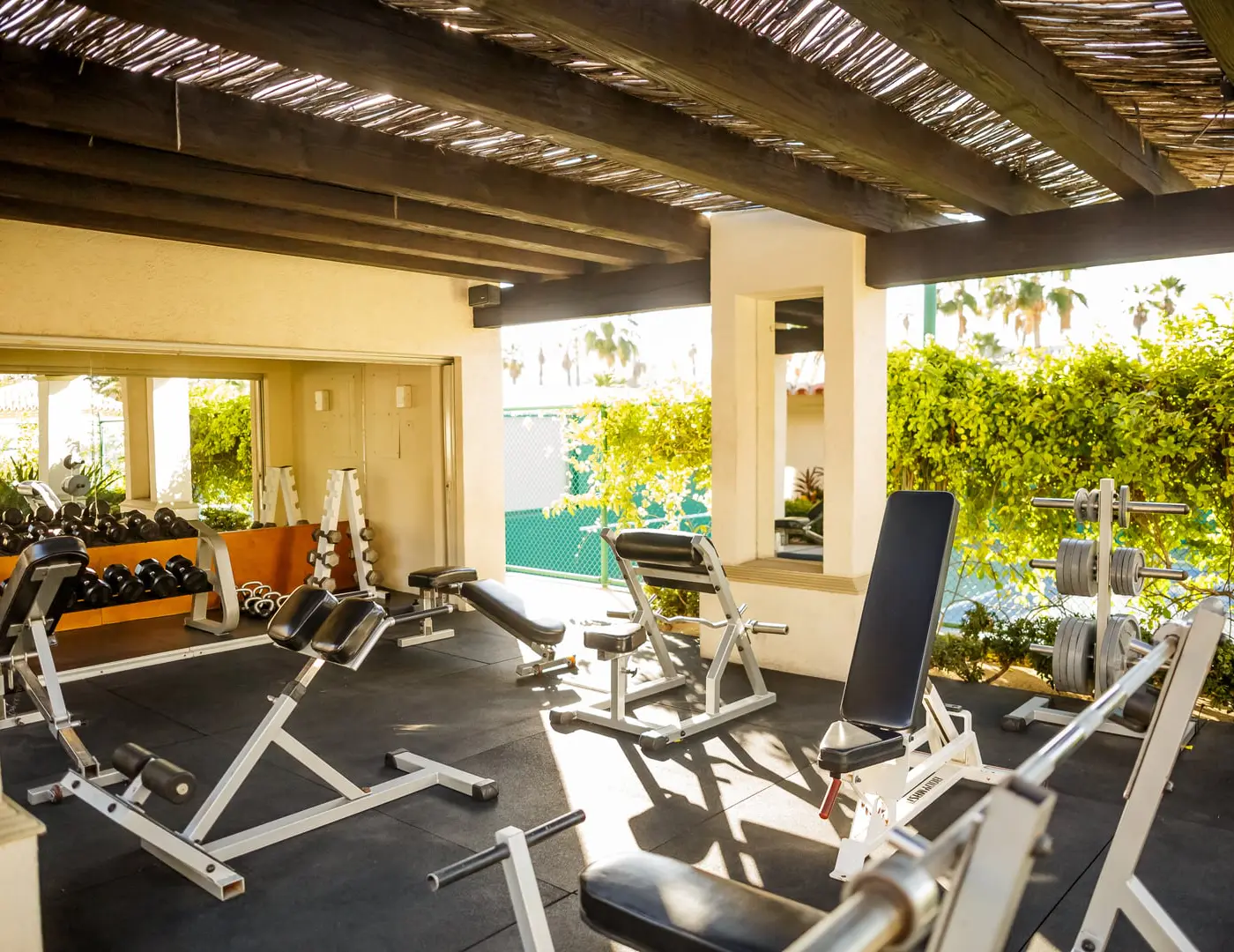 Las Mañanitas LM E3303