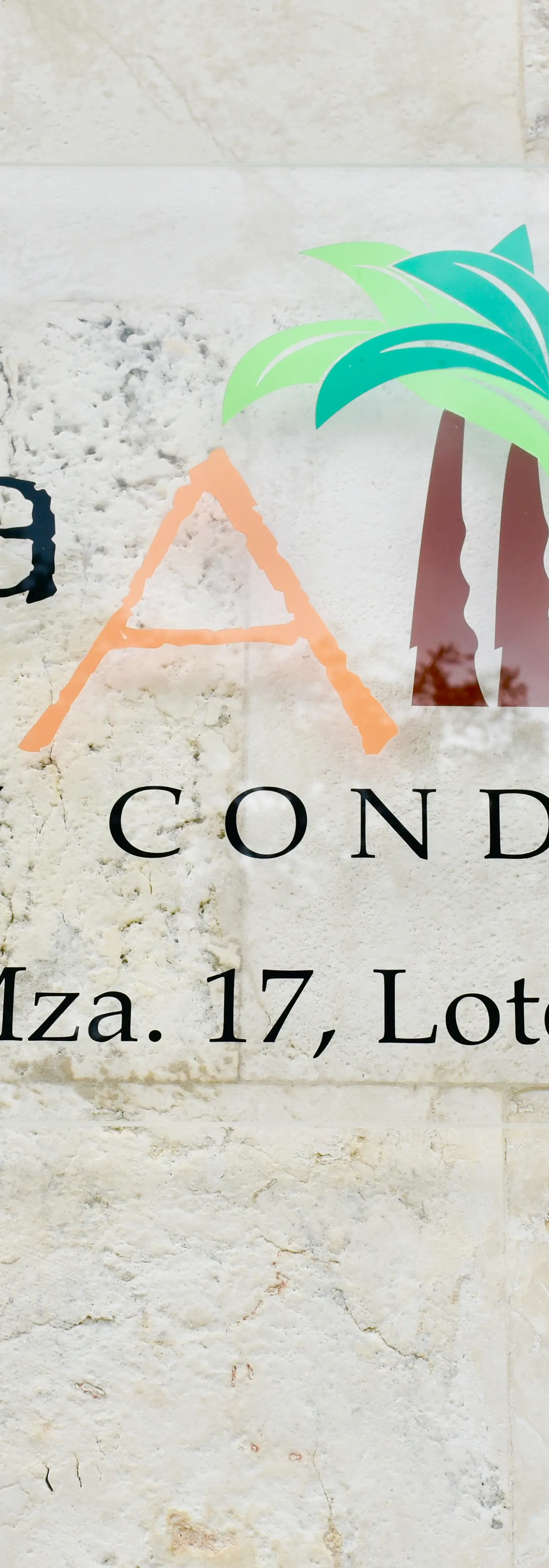 El Cielo Punta Allen 301A