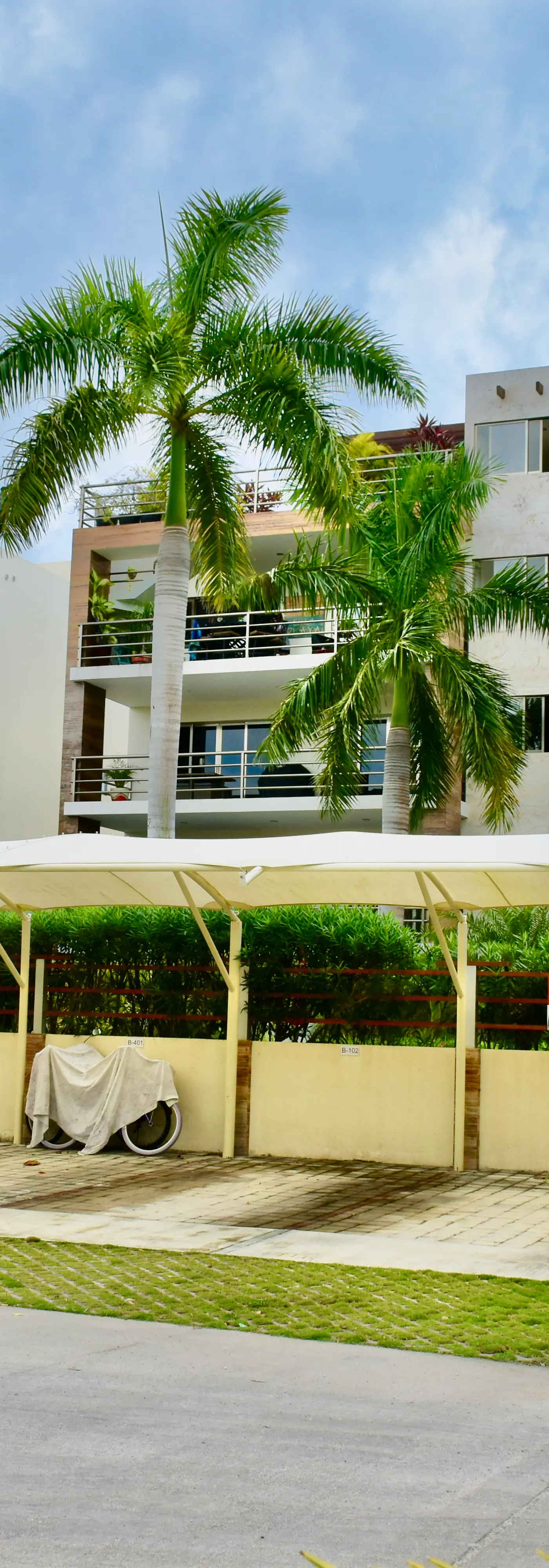 El Cielo Punta Allen 301A