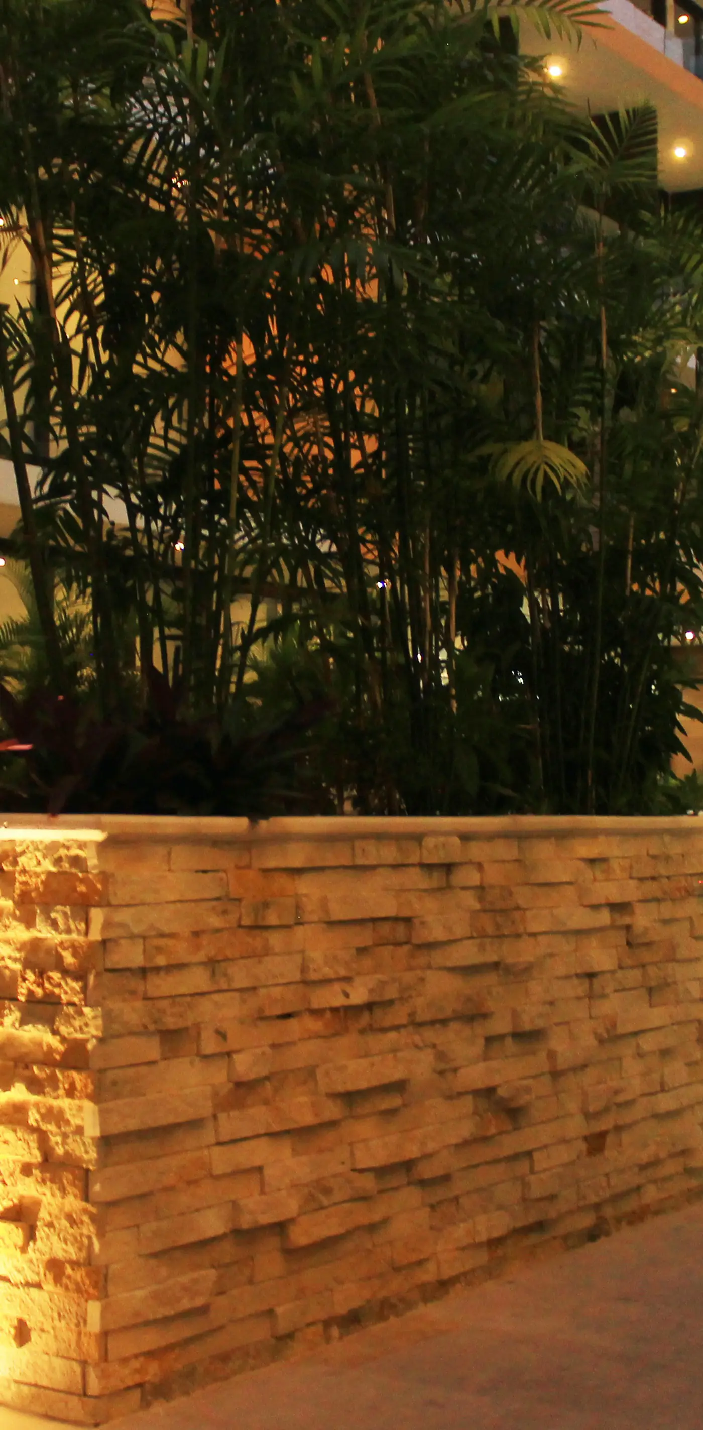 Menesse the City Menesse the City 2225