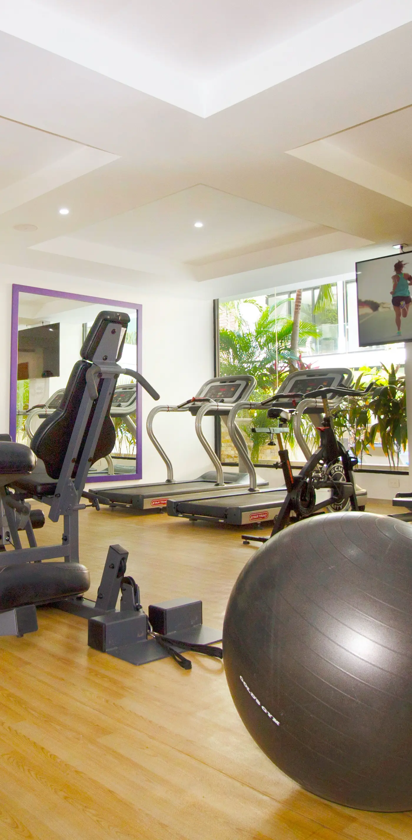 Menesse the City Menesse the City 2225