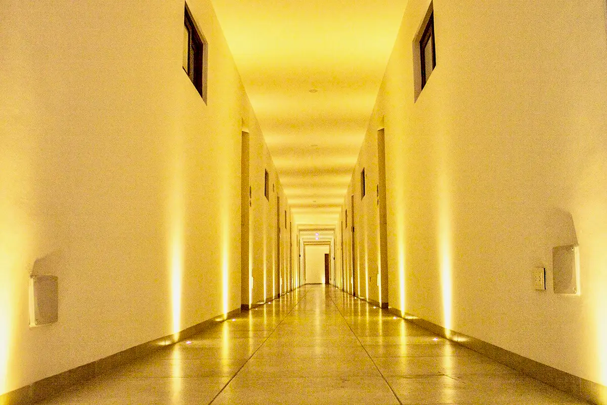 Menesse the City Menesse the City 2225