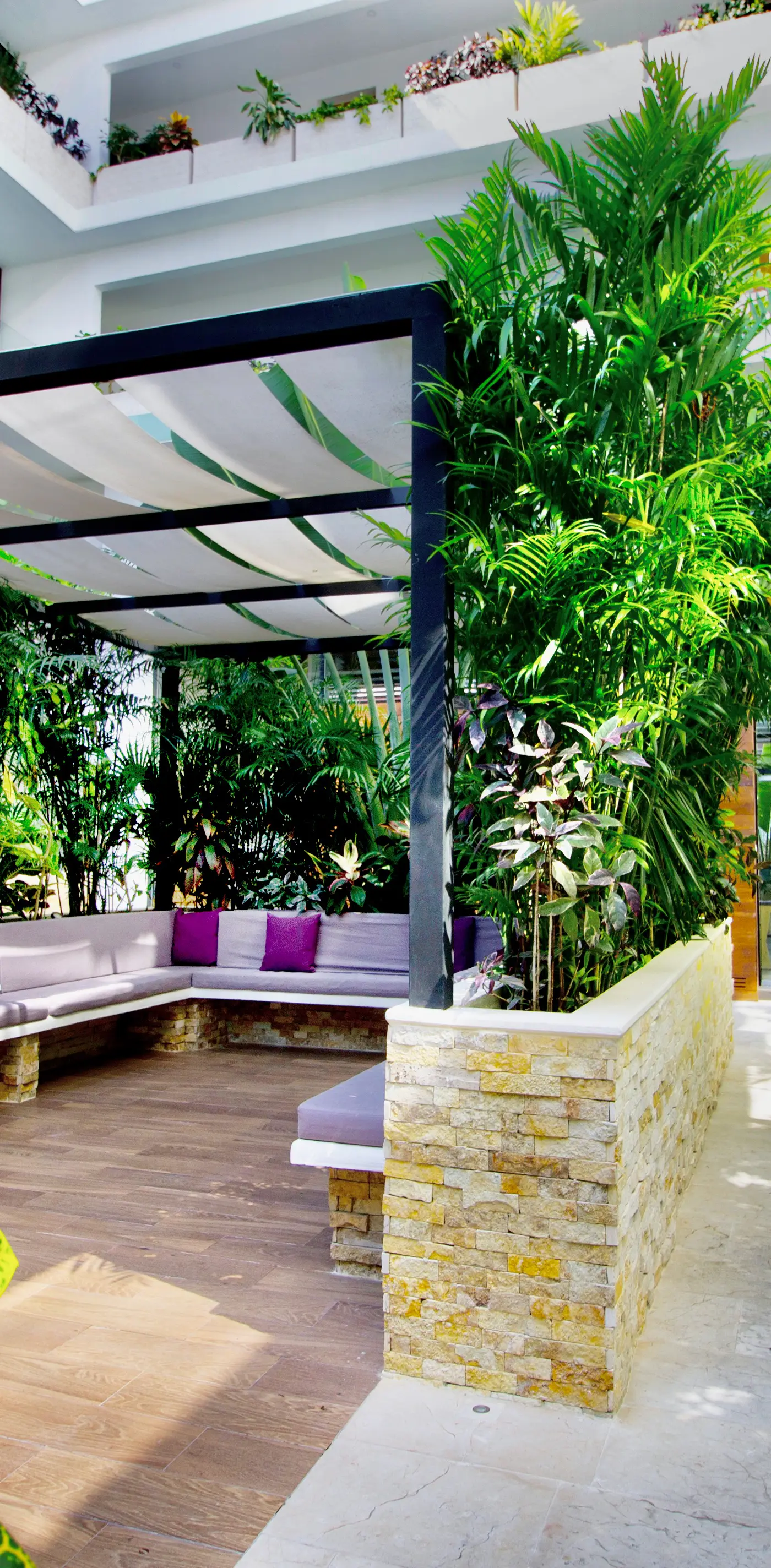 Menesse the City Menesse the City 2225