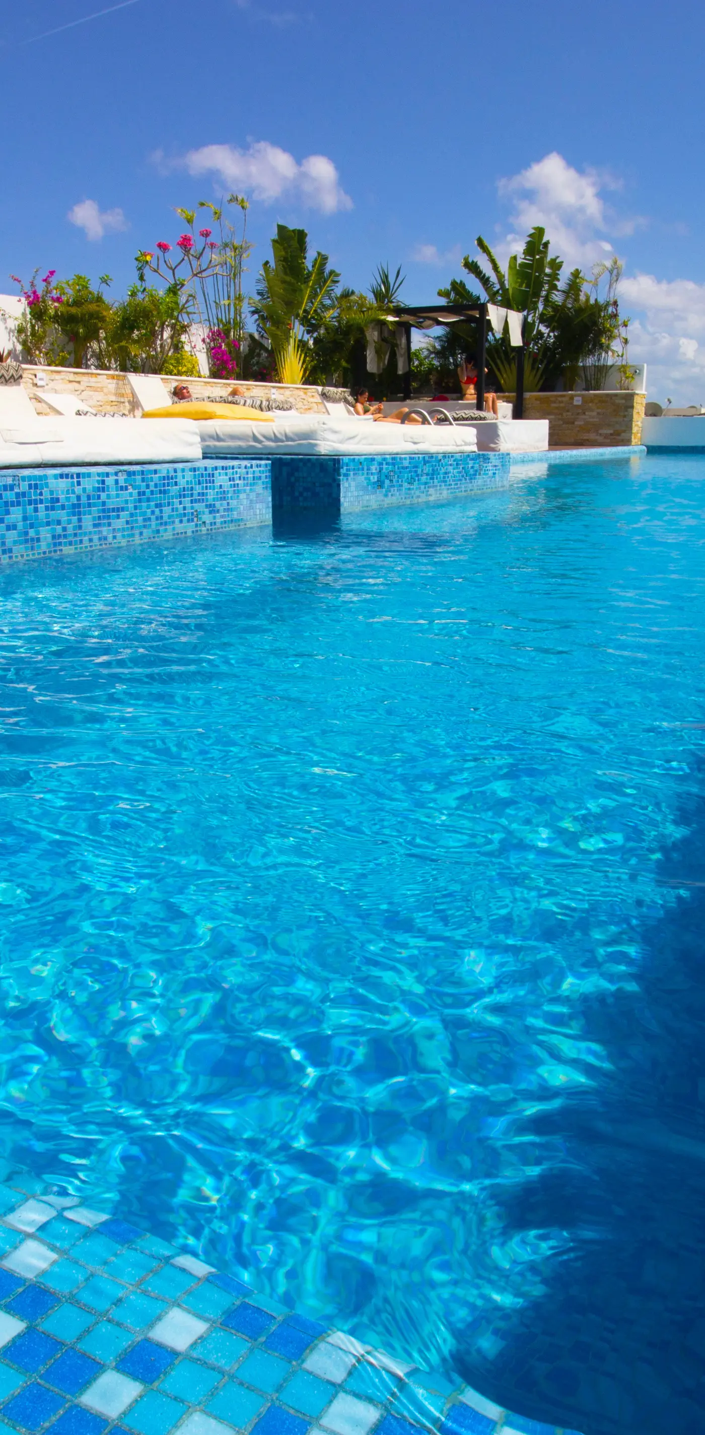 Menesse the City Menesse the City 2225