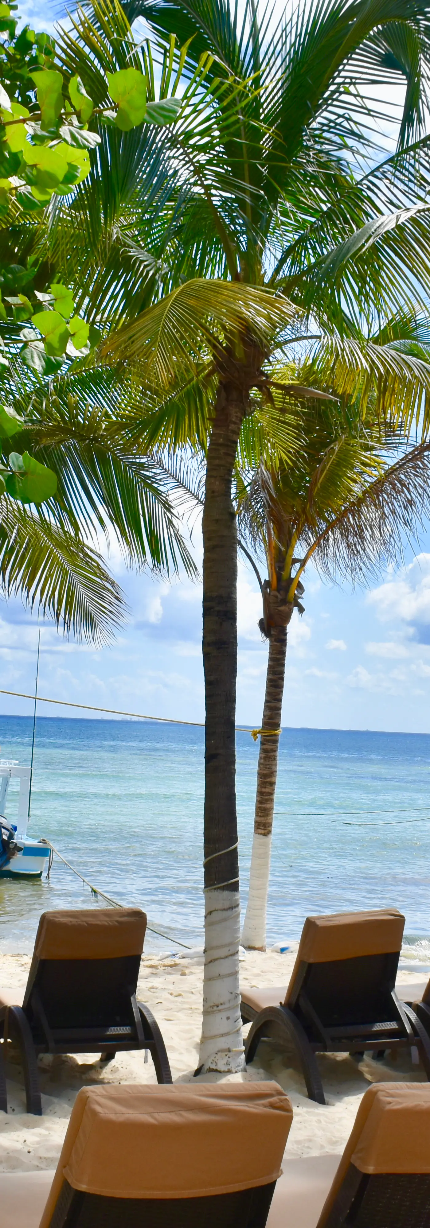 Playa Palms Beach Hotel Playa Palms 203 Ocean view