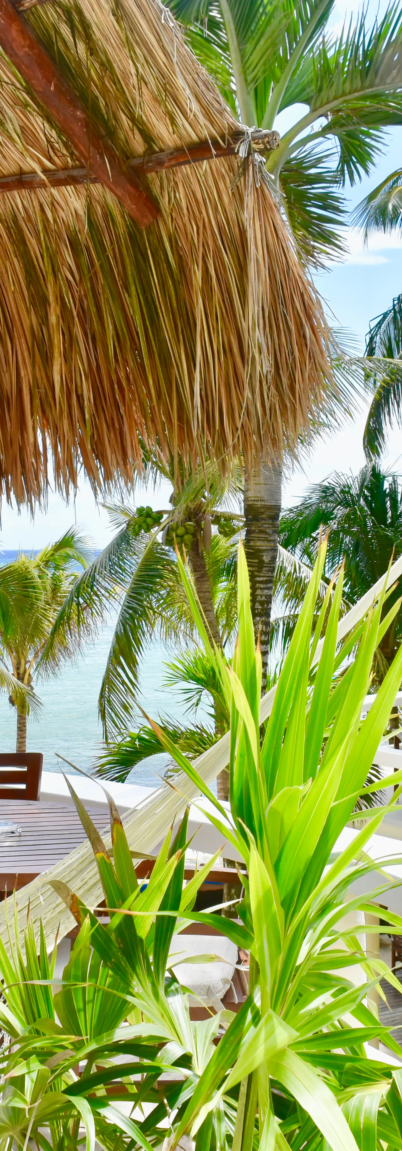 Playa Palms Beach Hotel Playa Palms 203 Ocean view