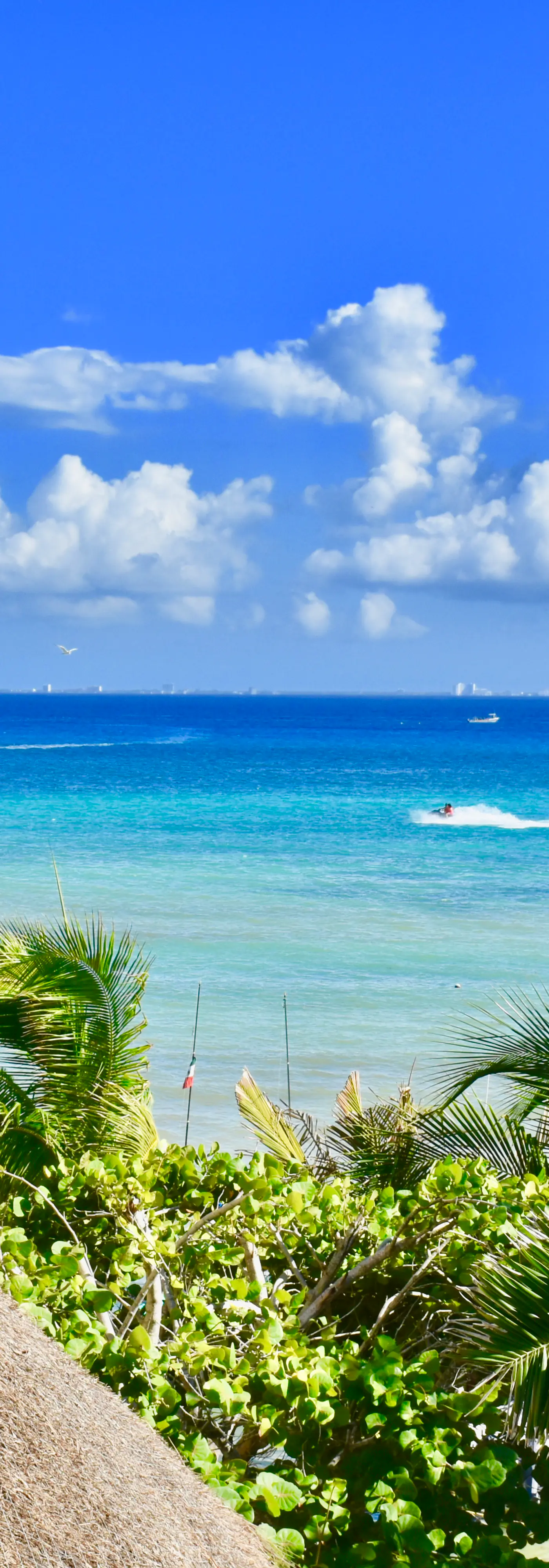 Playa Palms Beach Hotel Playa Palms 102 Ocean view