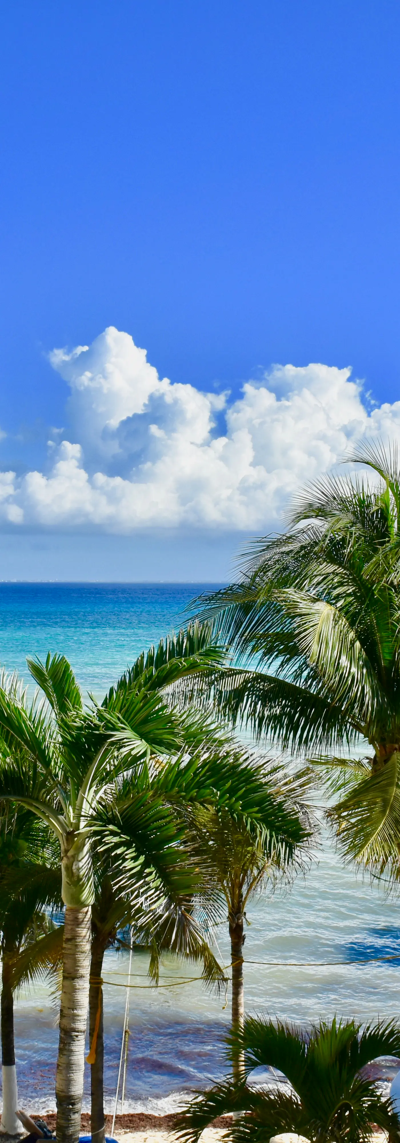 Playa Palms Beach Hotel Playa Palms 103 Ocean view