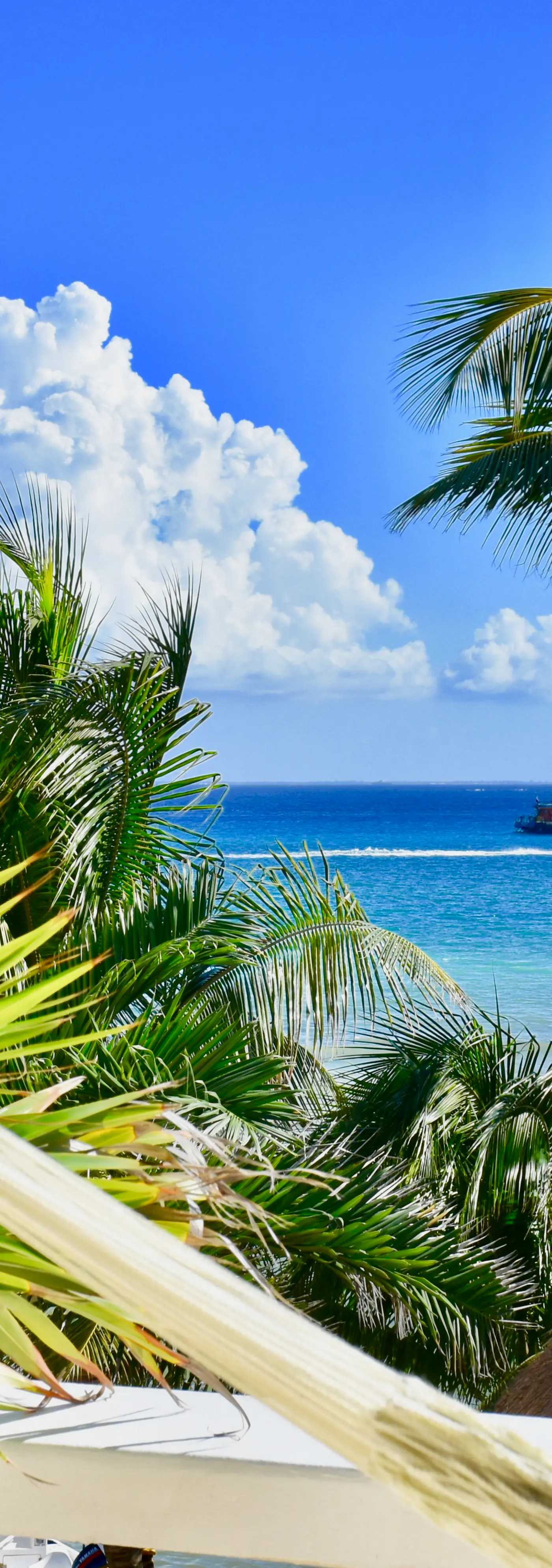 Playa Palms Beach Hotel Playa Palms 103 Ocean view