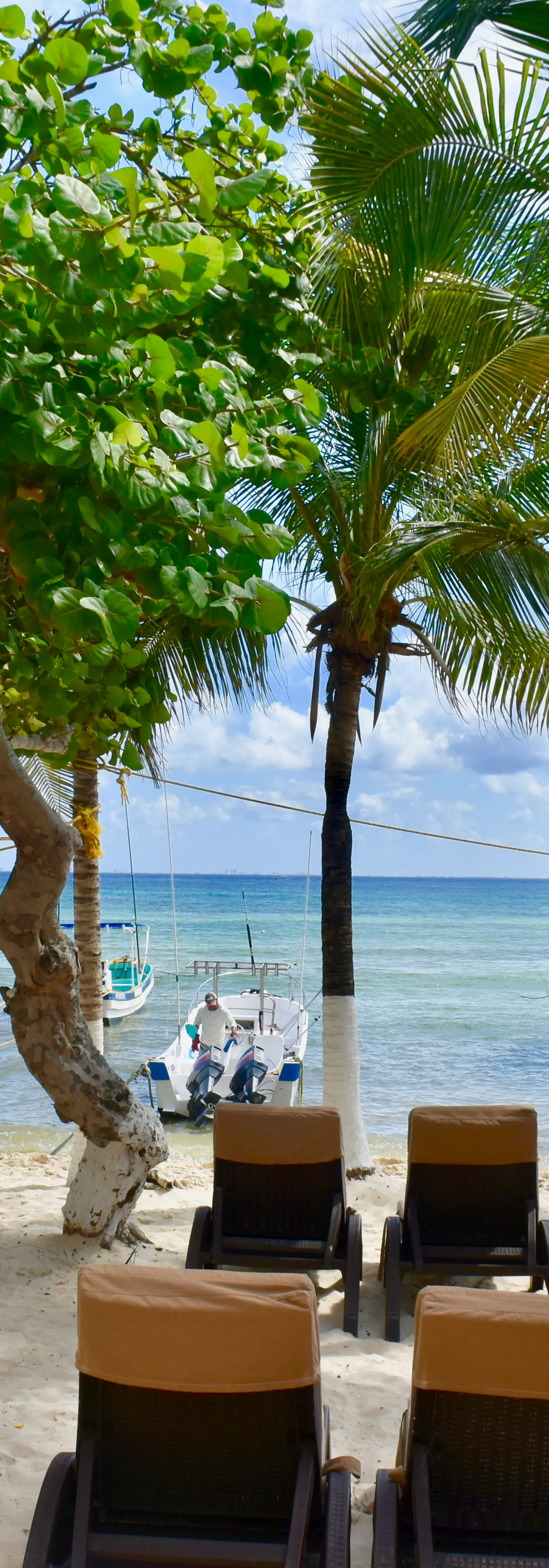 Playa Palms Beach Hotel Playa Palms 103 Ocean view