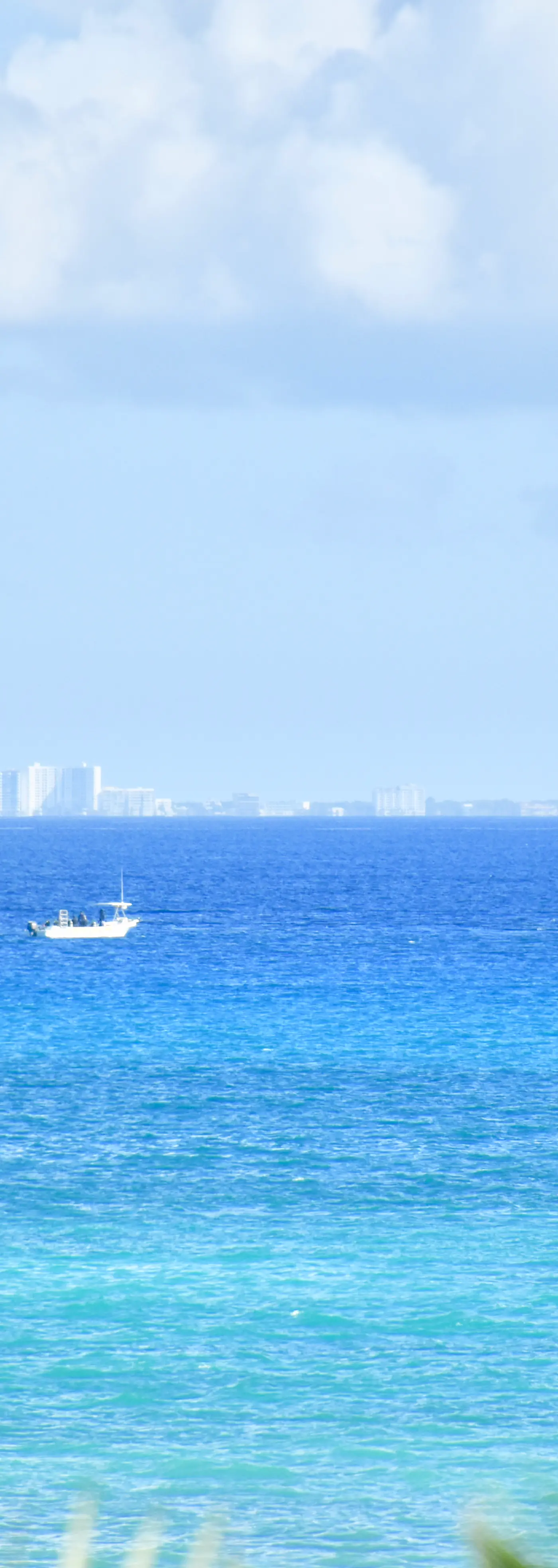 Playa Palms Beach Hotel Playa Palms 110 Ocean View