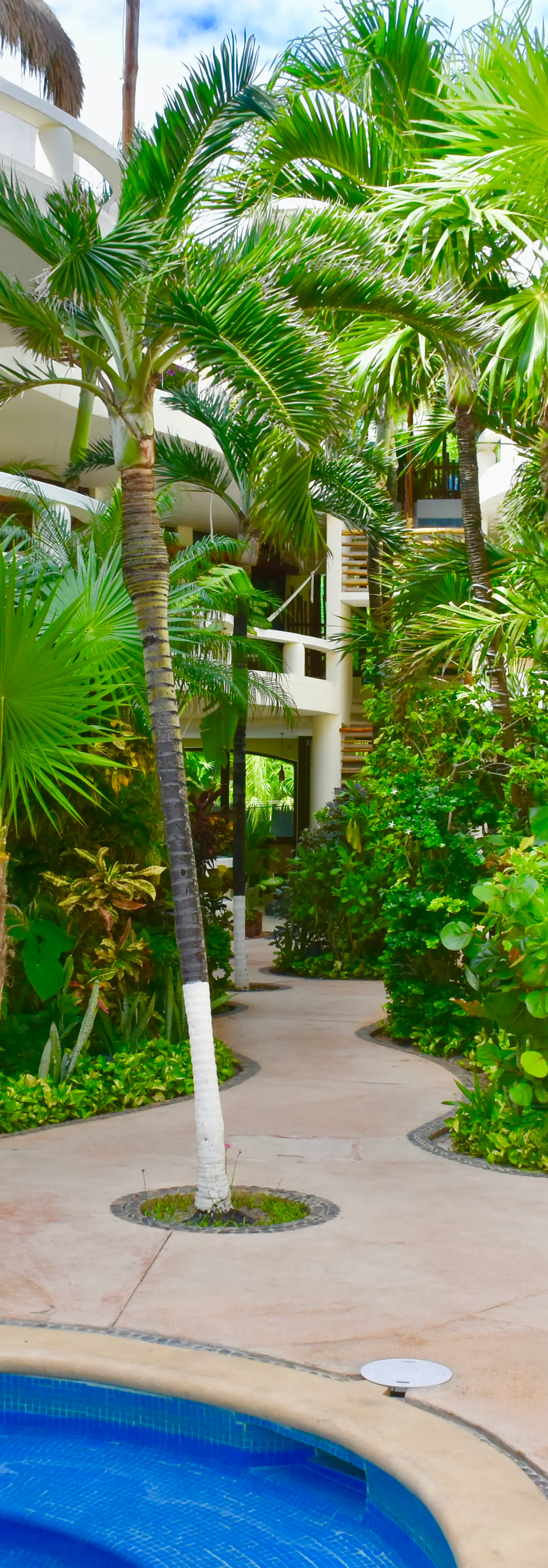 Playa Palms Beach Hotel Playa Palms 110 Ocean View