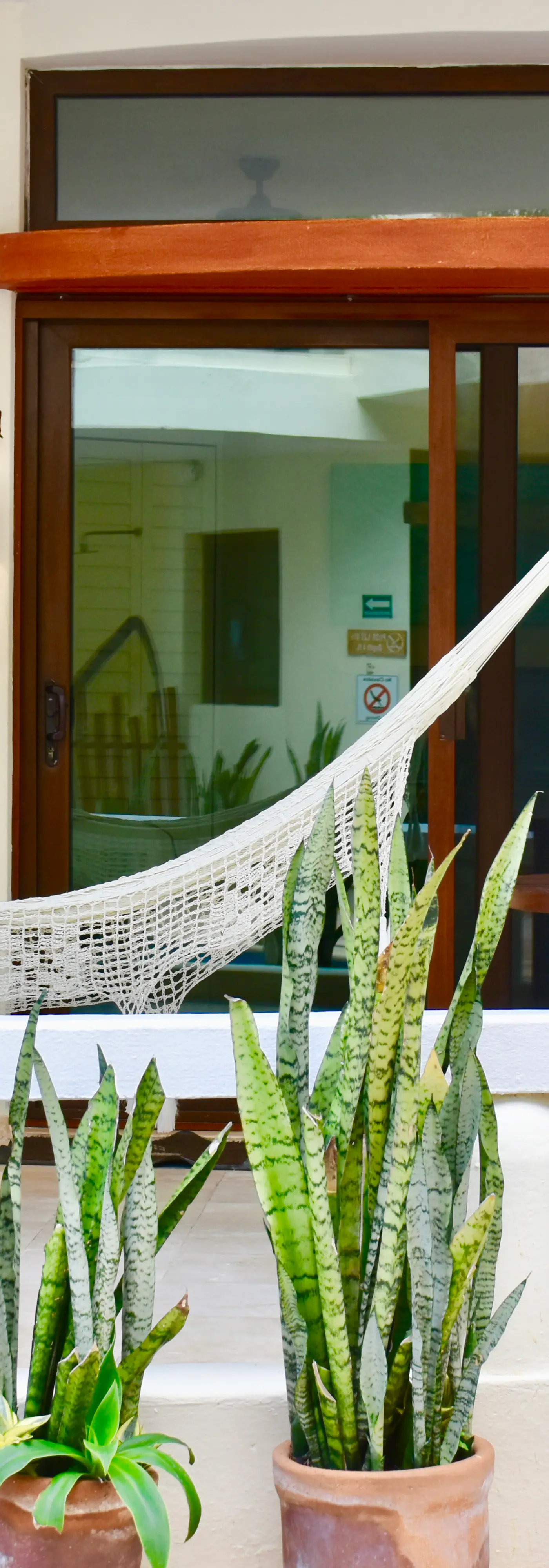 Playa Palms Beach Hotel Playa Palms 110 Ocean View