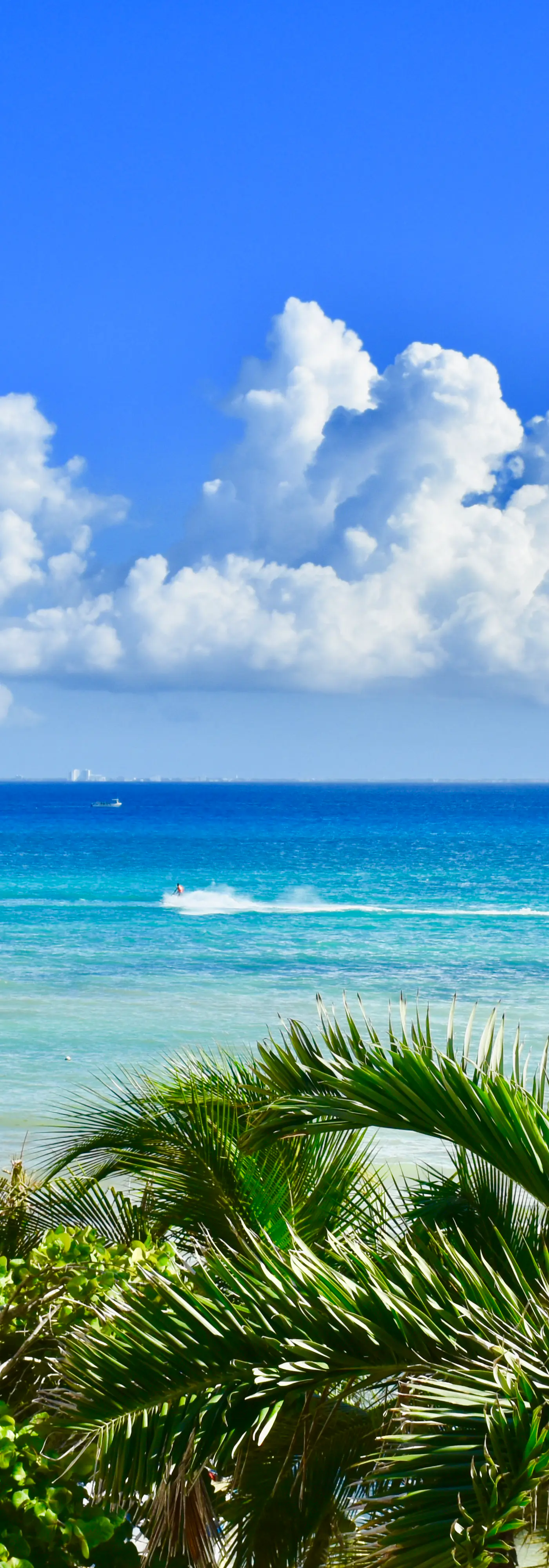 Playa Palms Beach Hotel Playa Palms 110 Ocean View
