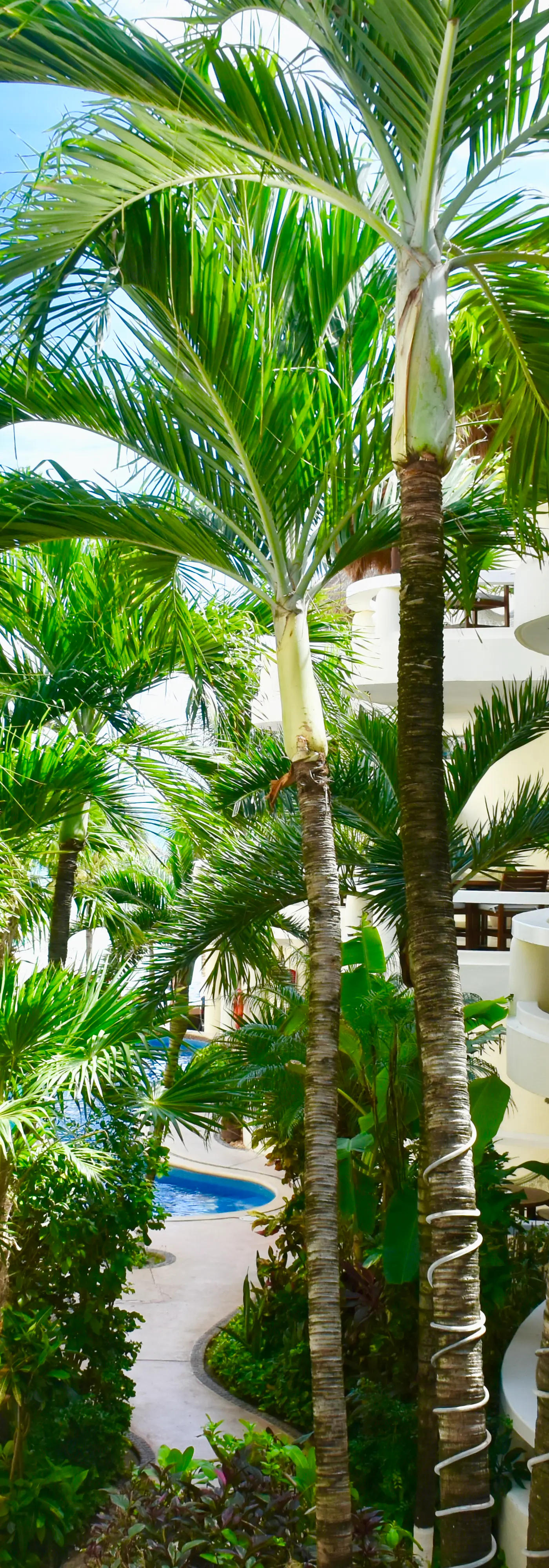 Playa Palms Beach Hotel Playa Palms 212 Ocean View