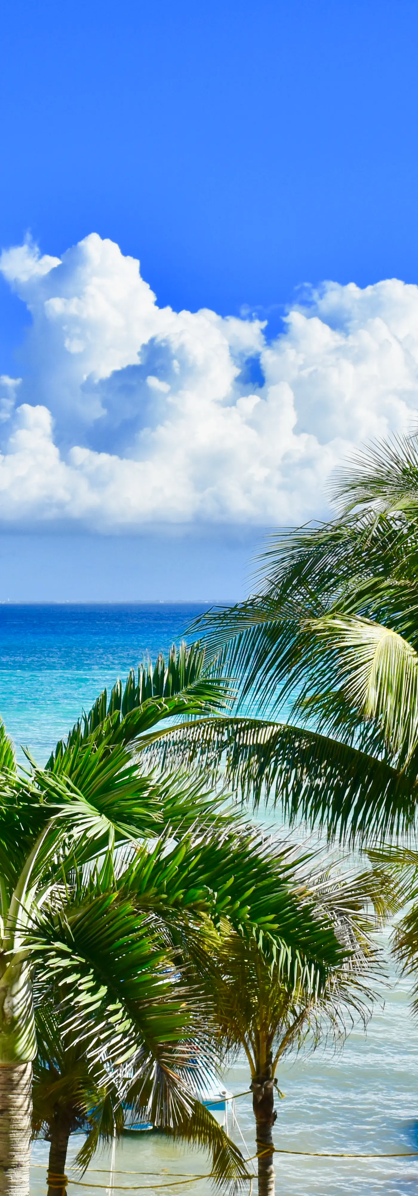Playa Palms Beach Hotel Playa Palms 212 Ocean View