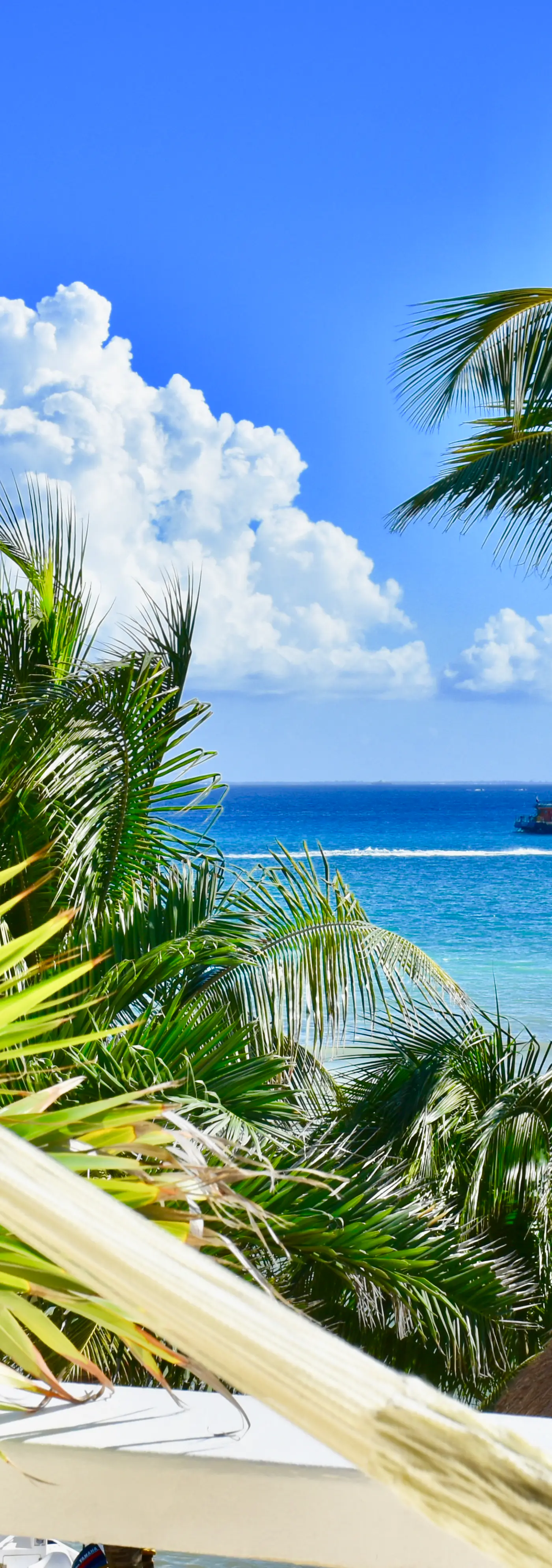 Playa Palms Beach Hotel Playa Palms 212 Ocean View