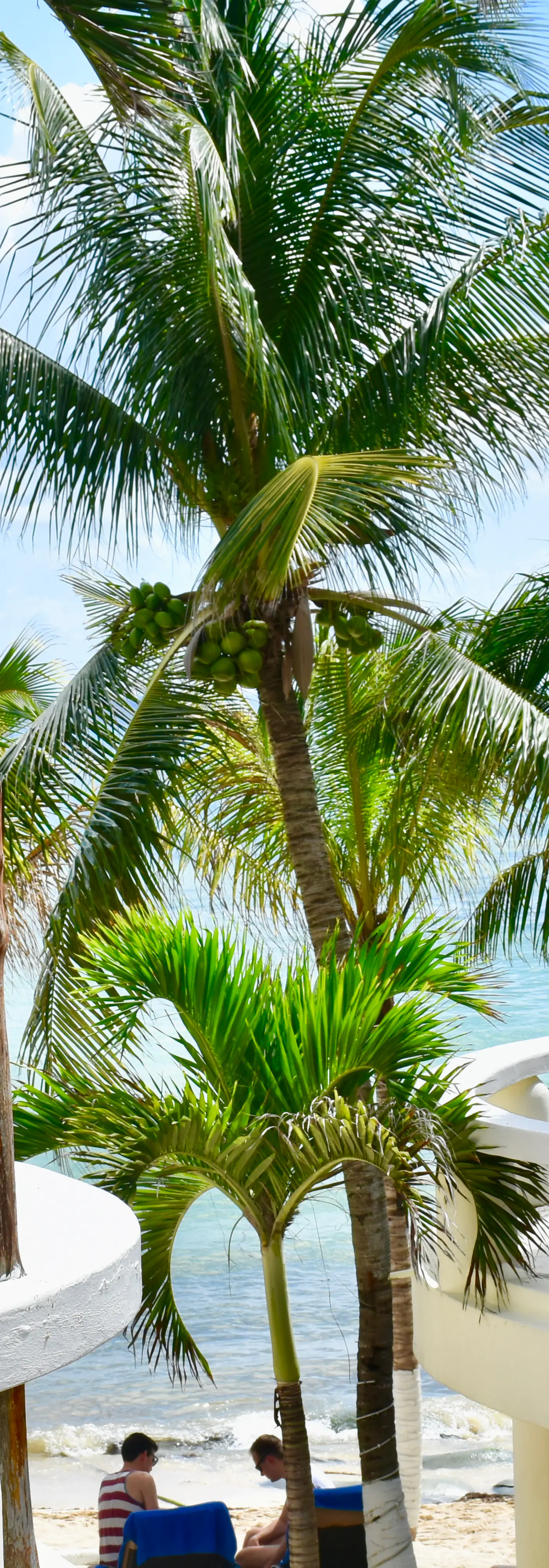 Playa Palms Beach Hotel Playa Palms 213 Ocean View