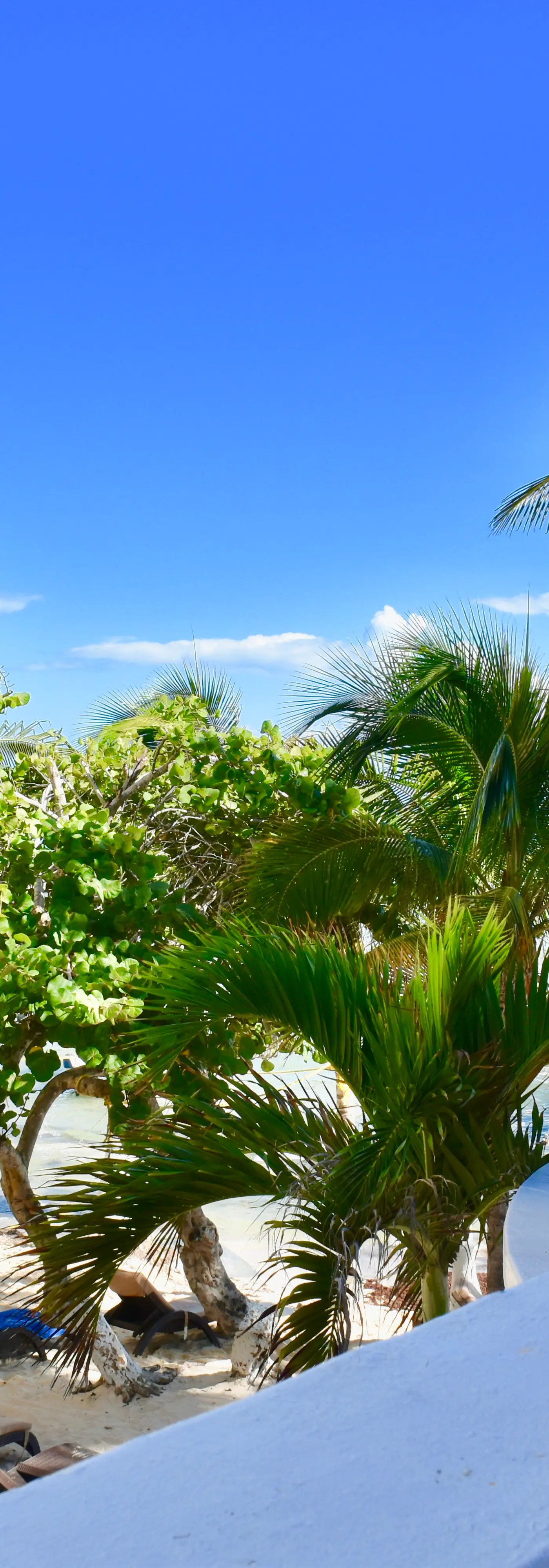 Playa Palms Beach Hotel Playa Palms 213 Ocean View