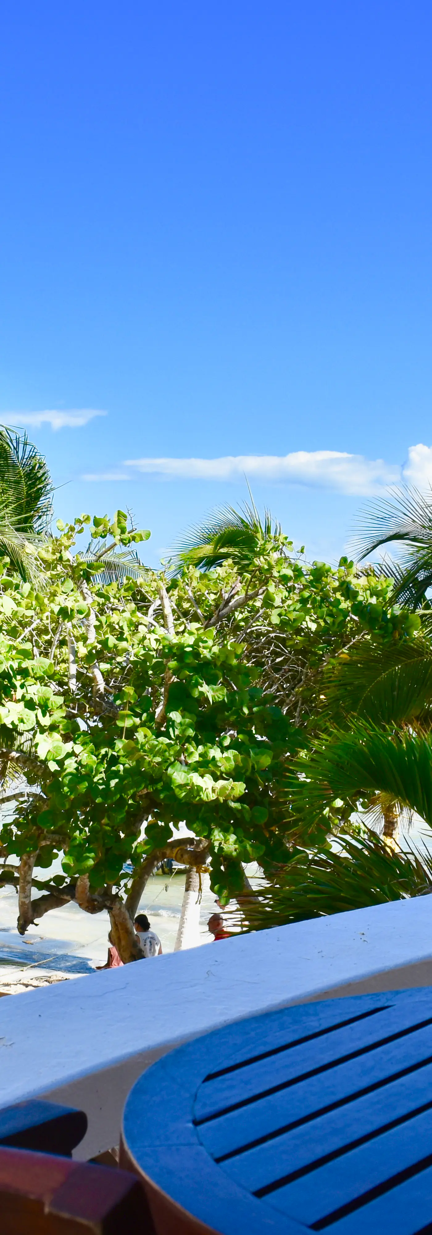 Playa Palms Beach Hotel Playa Palms 213 Ocean View