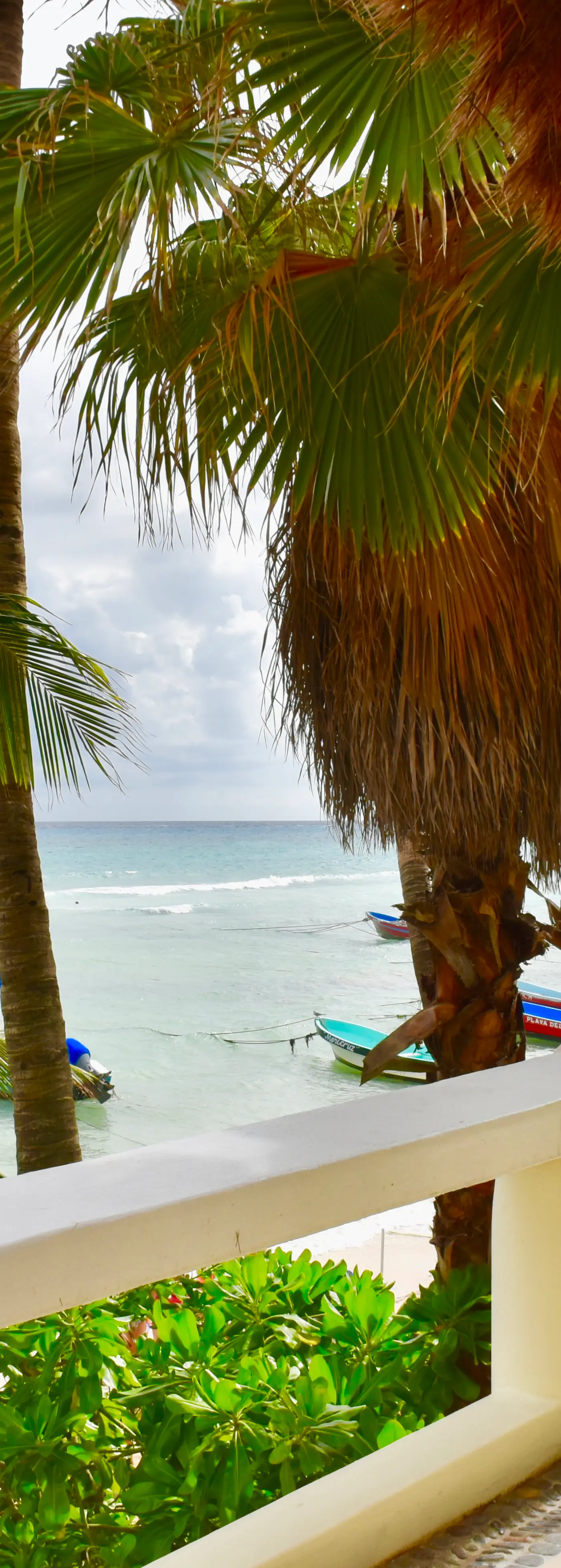Playa Palms Beach Hotel Playa Palms 214 Ocean Front