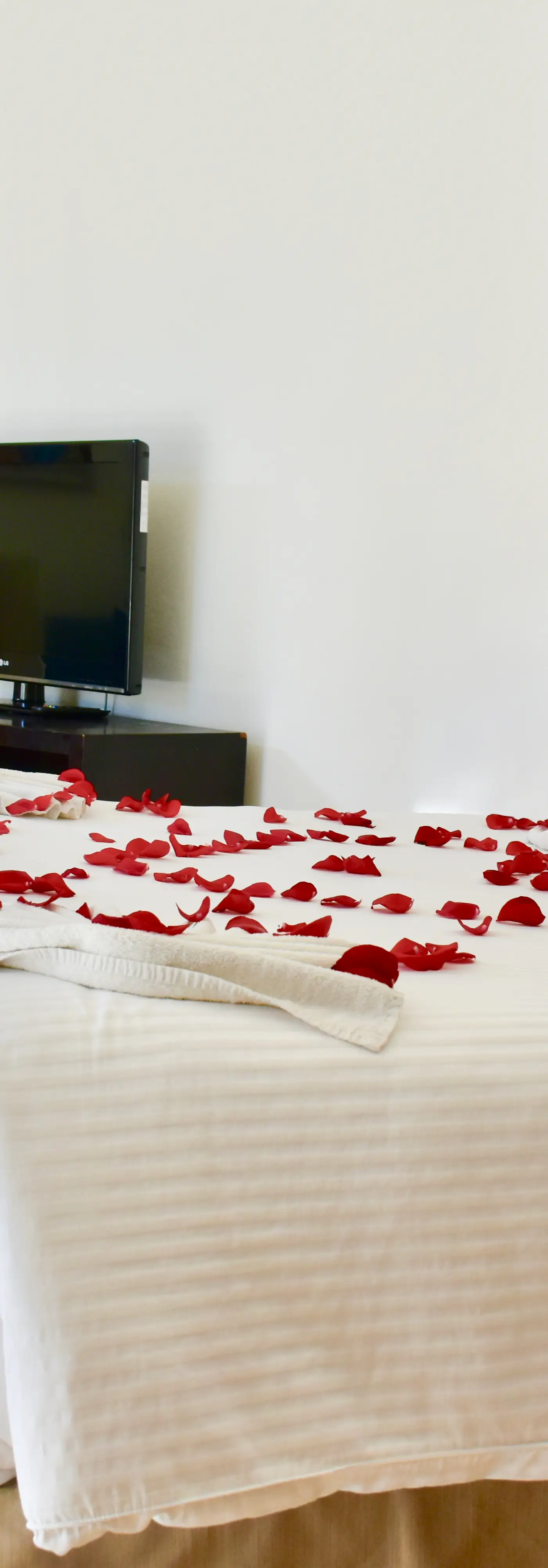 Playa Palms Beach Hotel Playa Palms 302 Ocean View