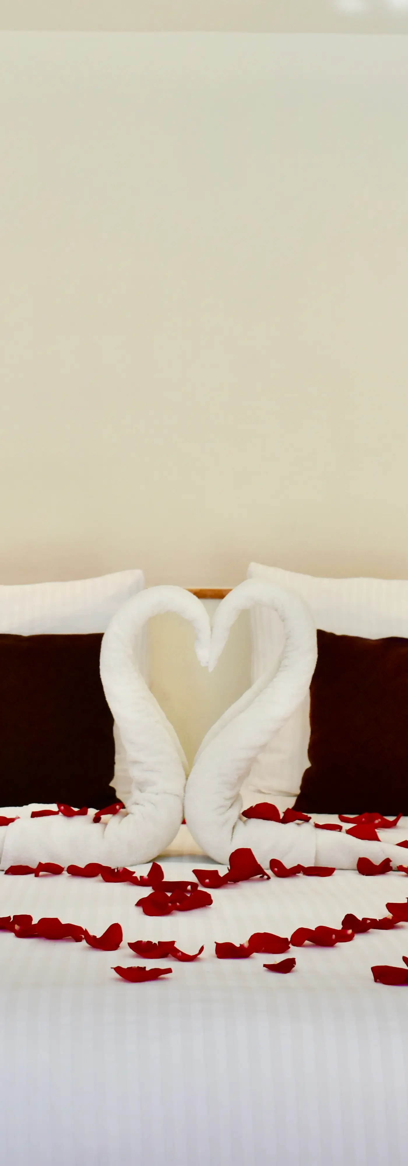 Playa Palms Beach Hotel Playa Palms 302 Ocean View