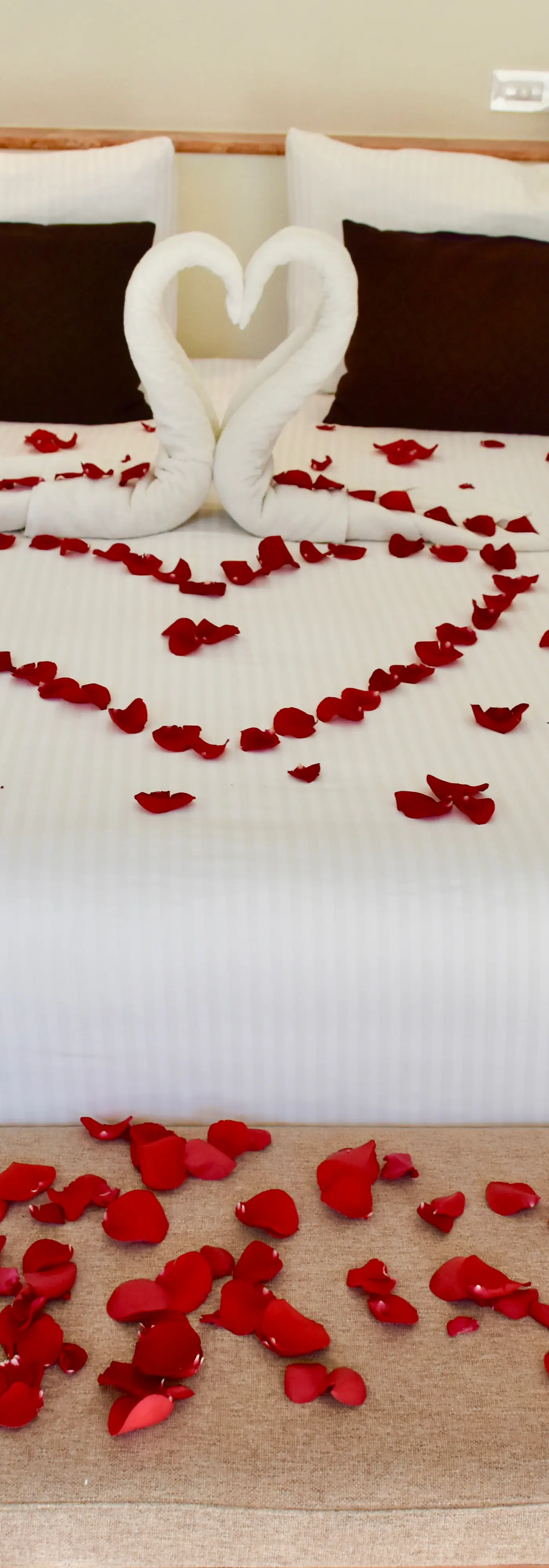 Playa Palms Beach Hotel Playa Palms 302 Ocean View