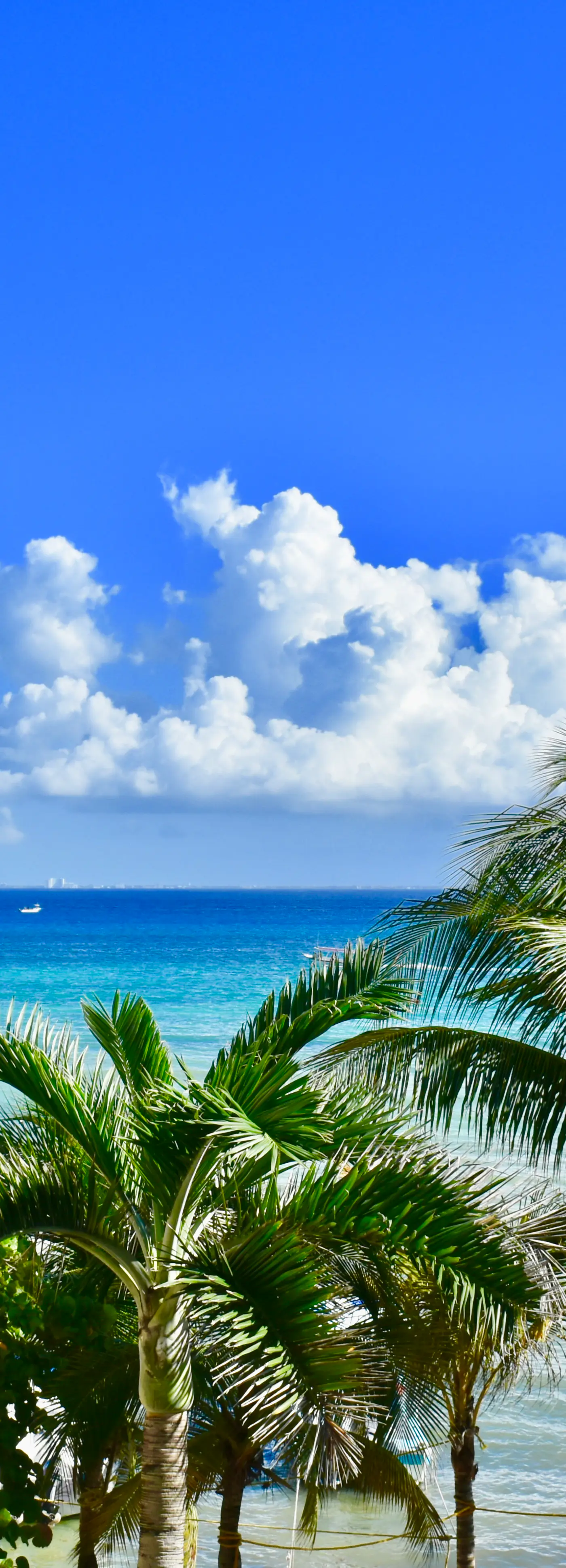 Playa Palms Beach Hotel Playa Palms 302 Ocean View