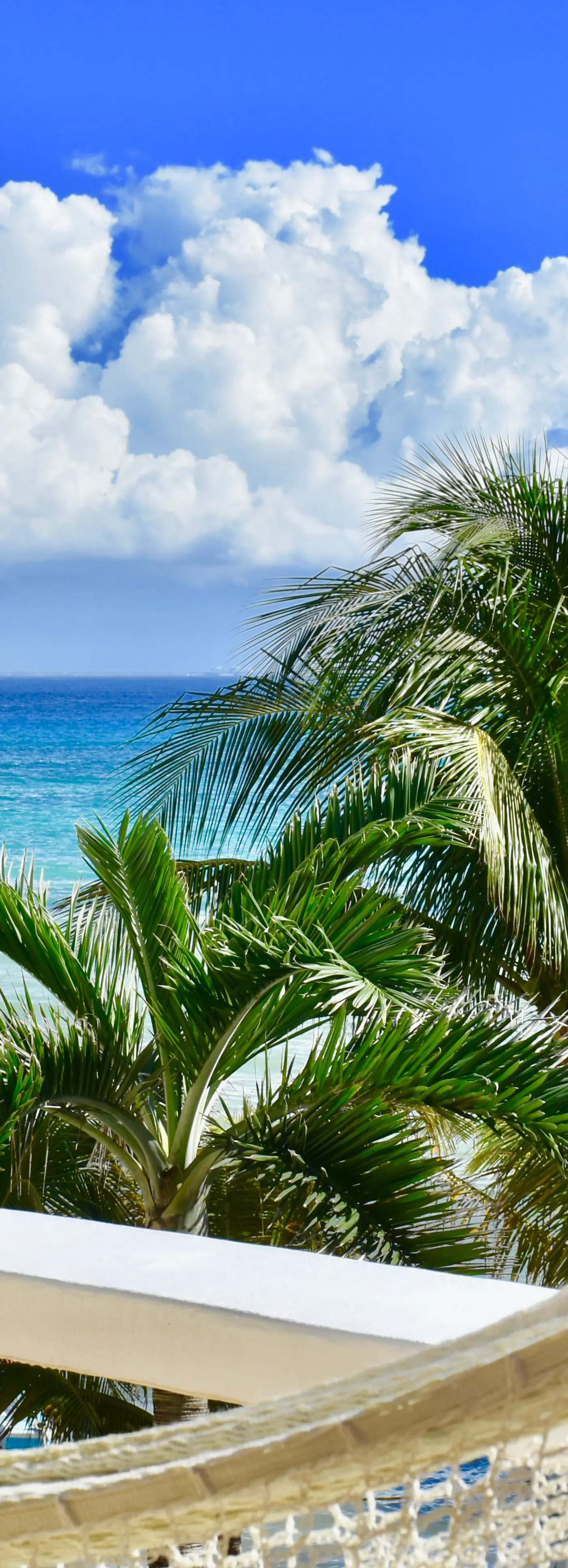 Playa Palms Beach Hotel Playa Palms 302 Ocean View