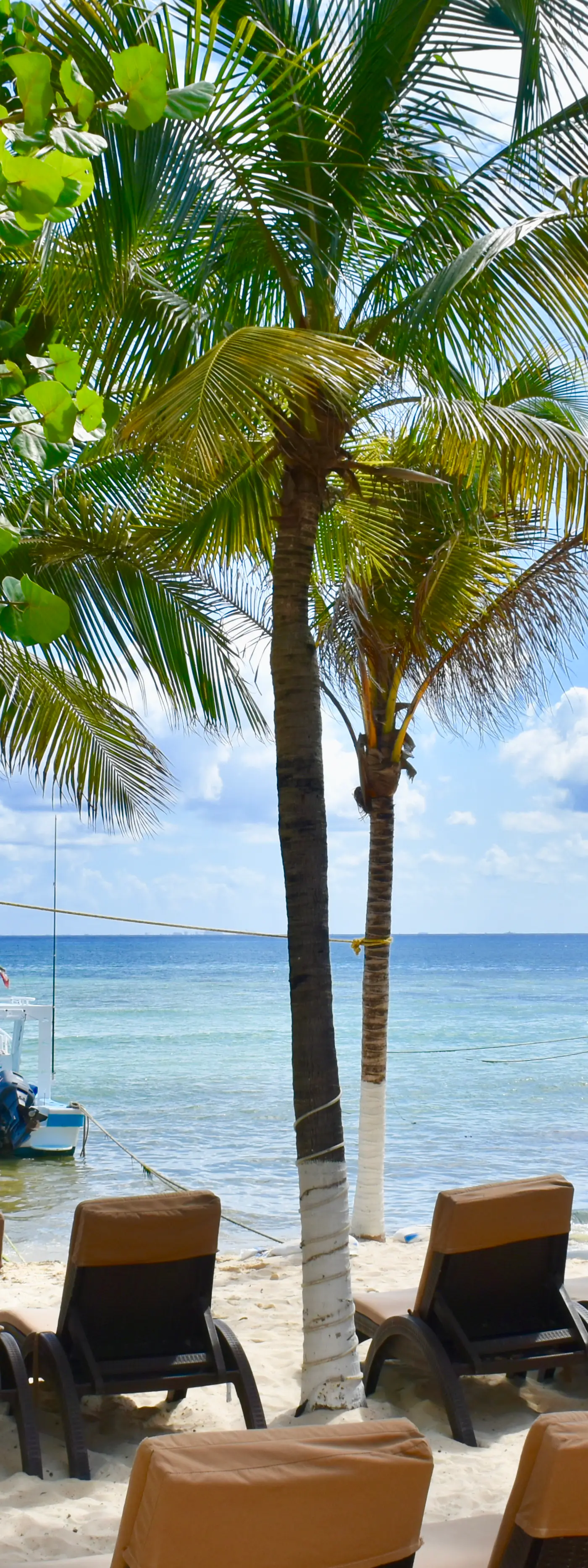 Playa Palms Beach Hotel Playa Palms 302 Ocean View