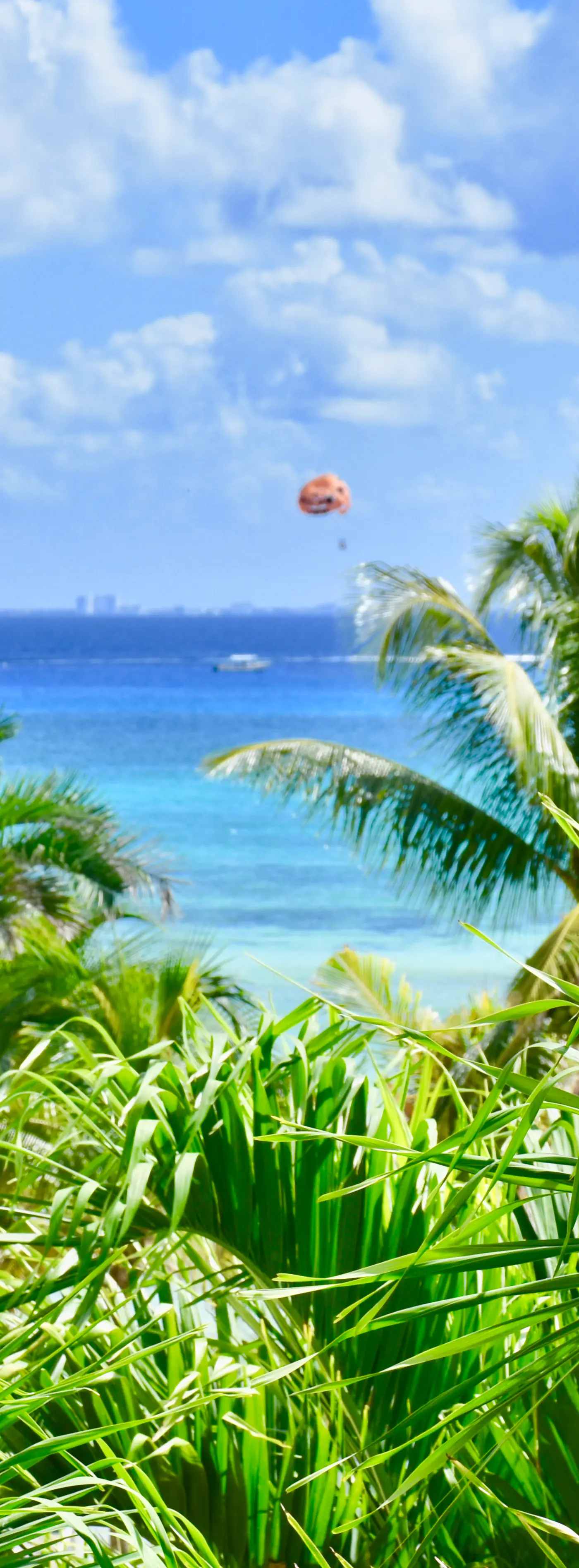 Playa Palms Beach Hotel Playa Palms 310 Ocean View King