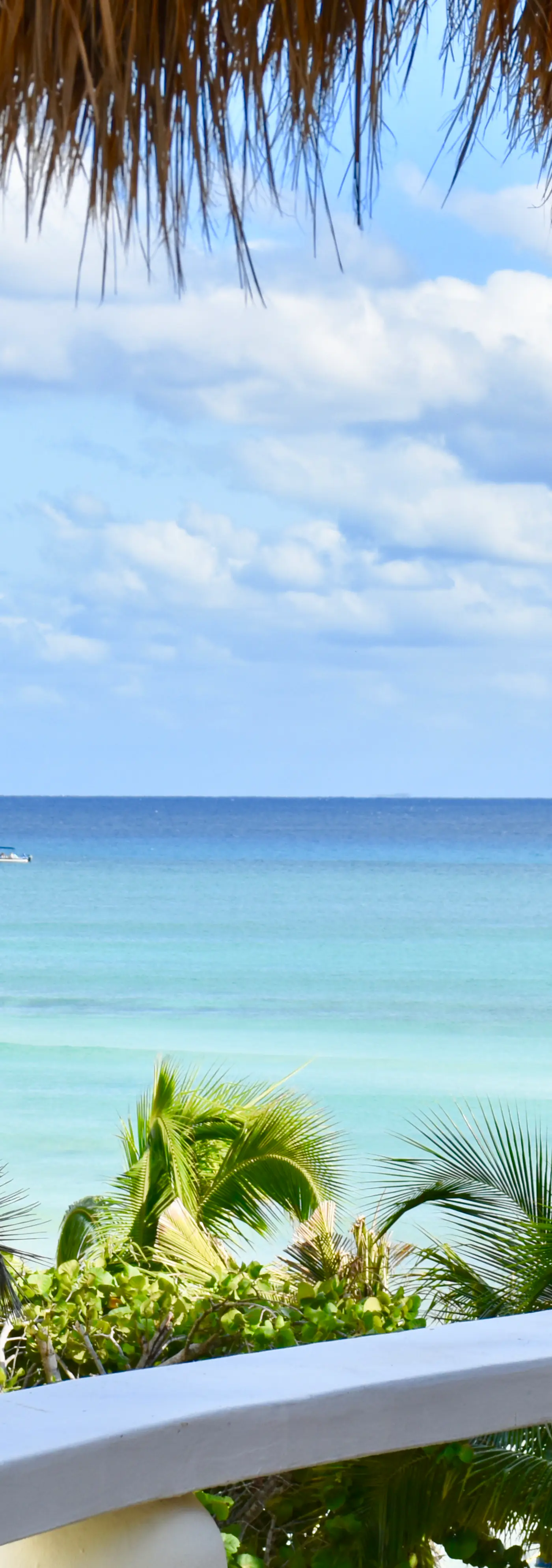 Playa Palms Beach Hotel Playa Palms 310 Ocean View King