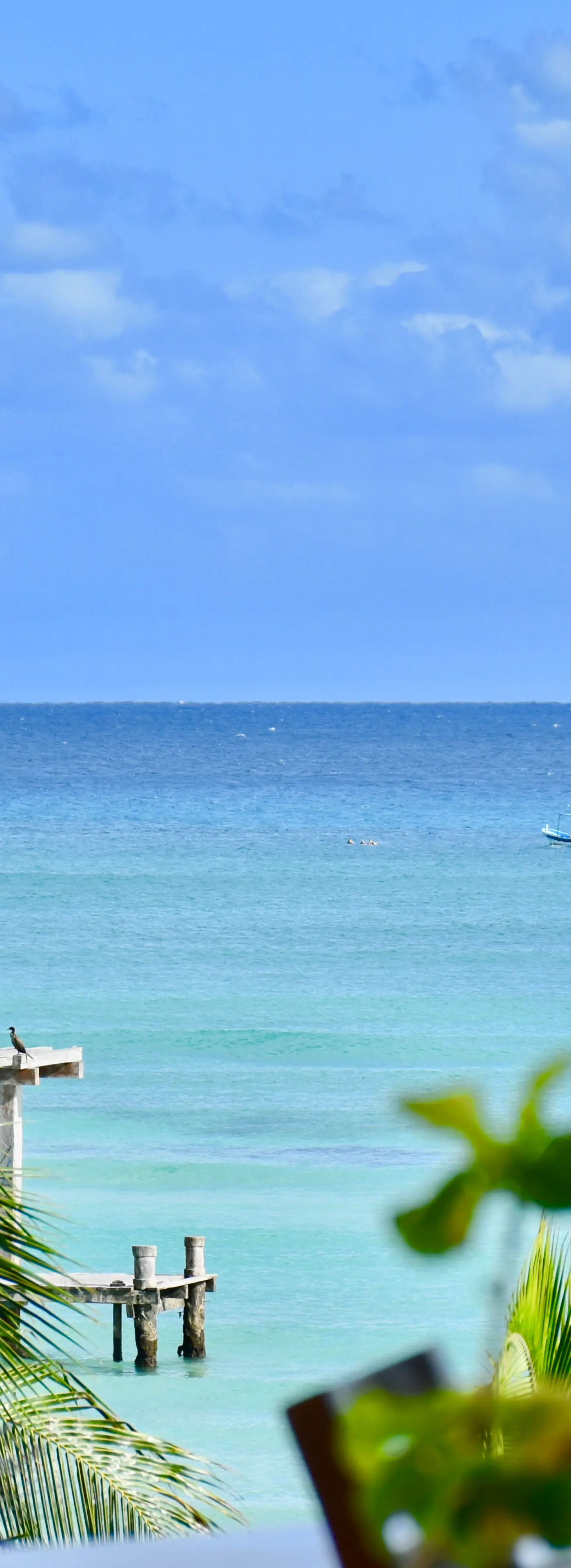 Playa Palms Beach Hotel Playa Palms 310 Ocean View King