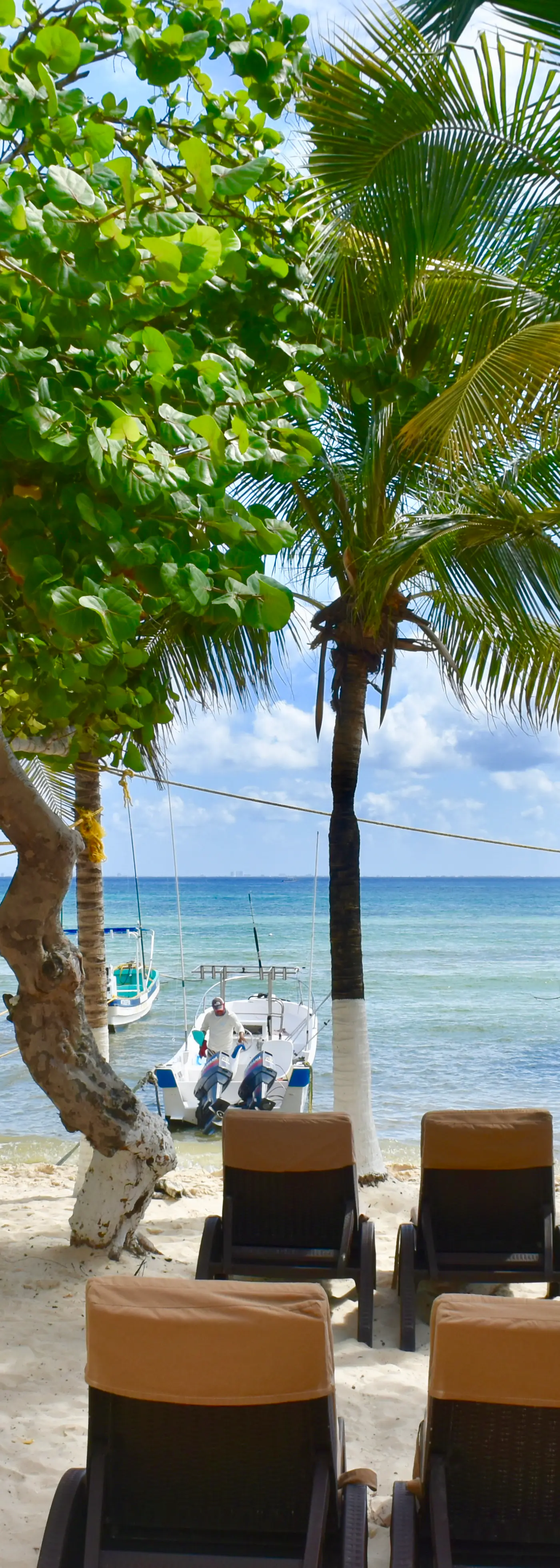 Playa Palms Beach Hotel Playa Palms 310 Ocean View King