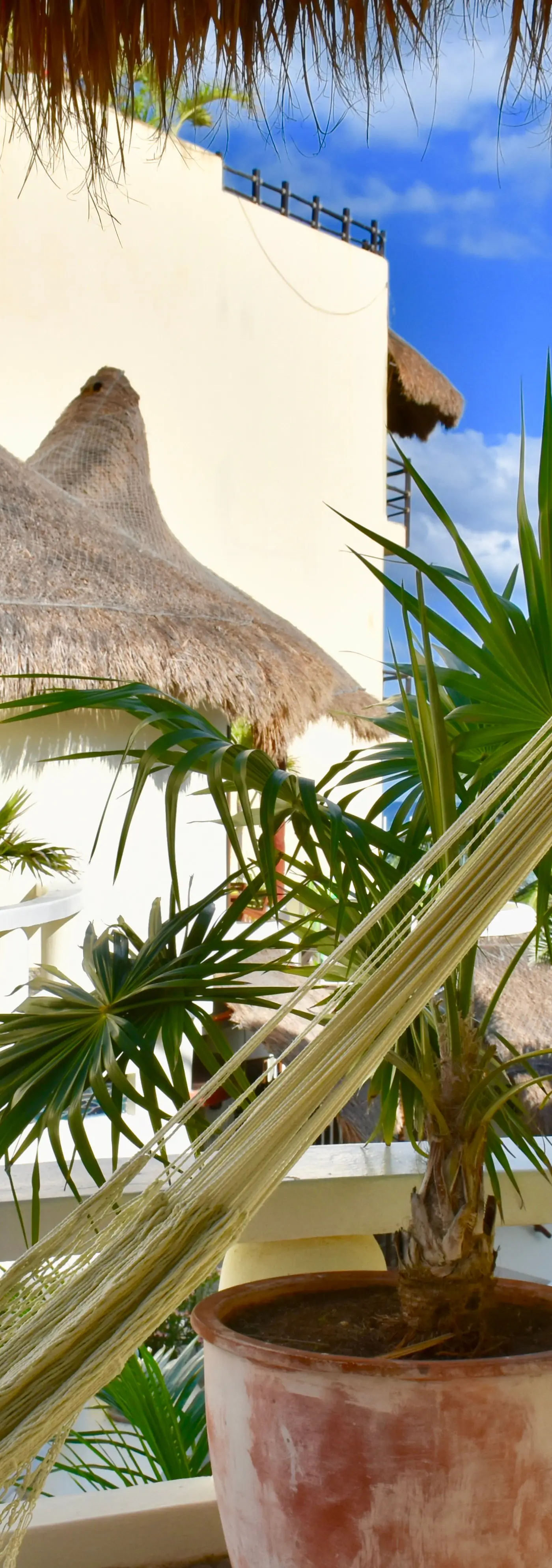 Playa Palms Beach Hotel Playa Palms 310 Ocean View King