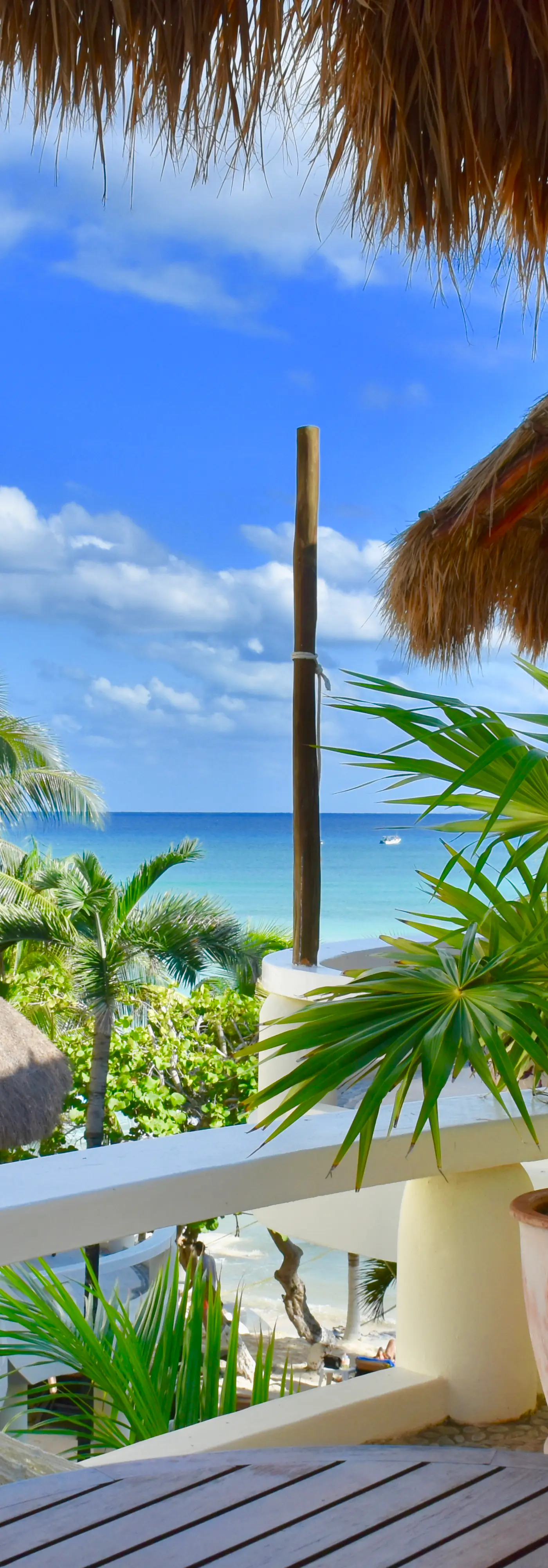 Playa Palms Beach Hotel Playa Palms 310 Ocean View King