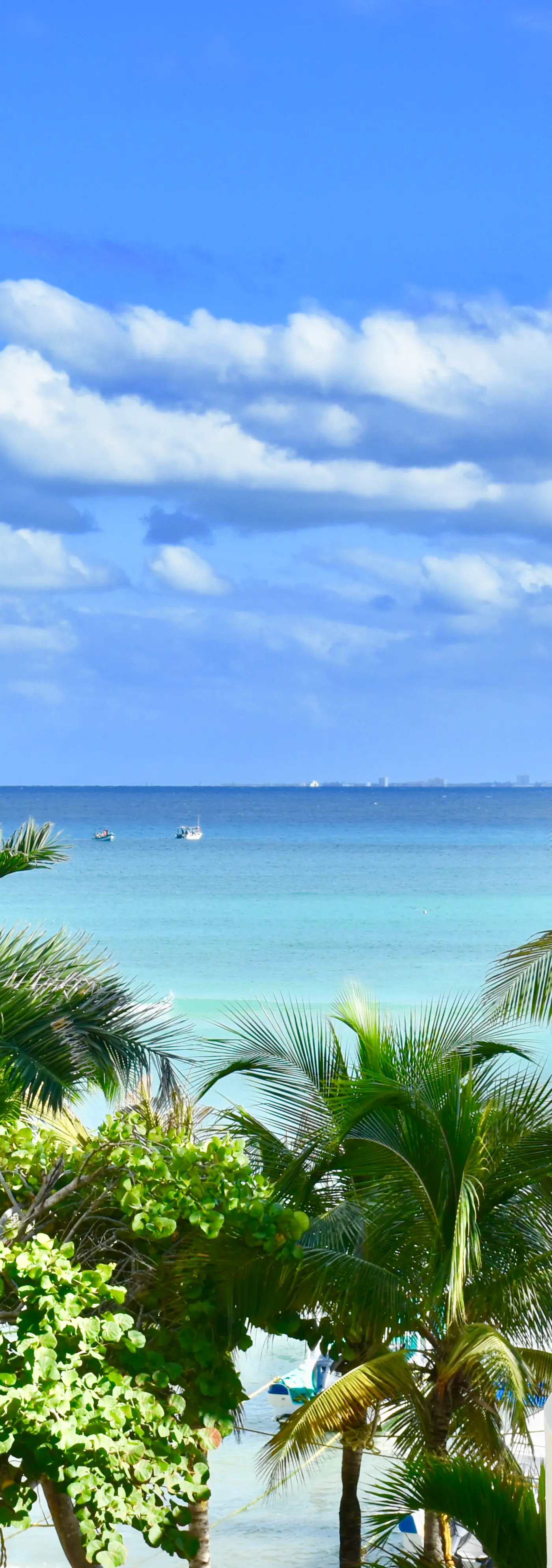 Playa Palms Beach Hotel Playa Palms 310 Ocean View King