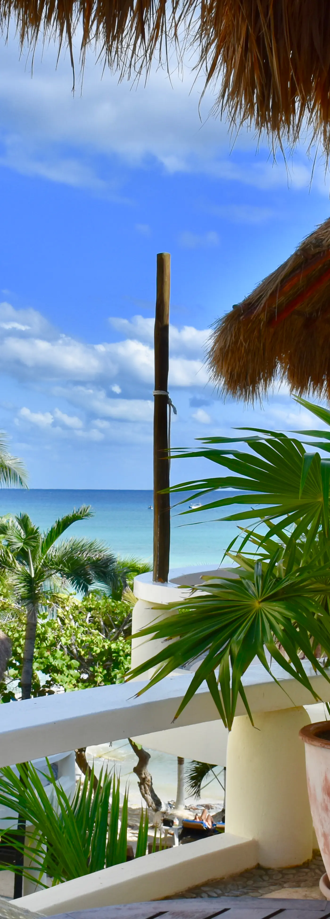 Playa Palms Beach Hotel Playa Palms 310 Ocean View King