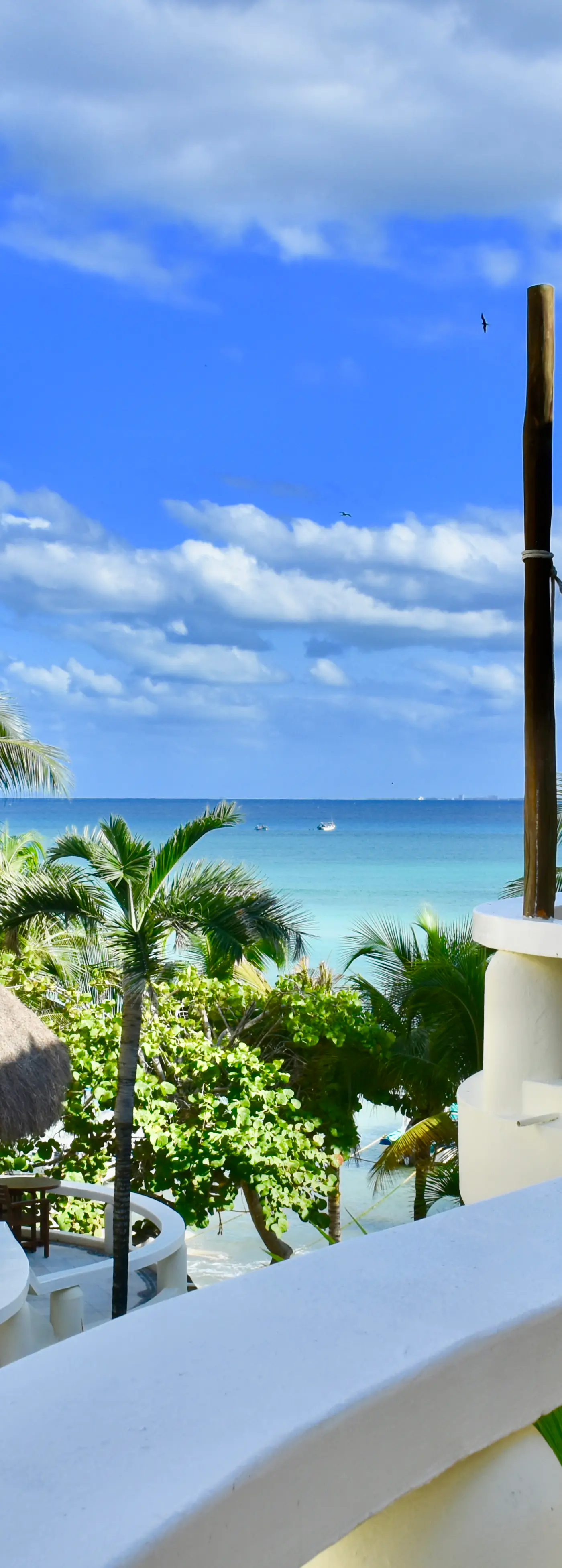 Playa Palms Beach Hotel Playa Palms 310 Ocean View King