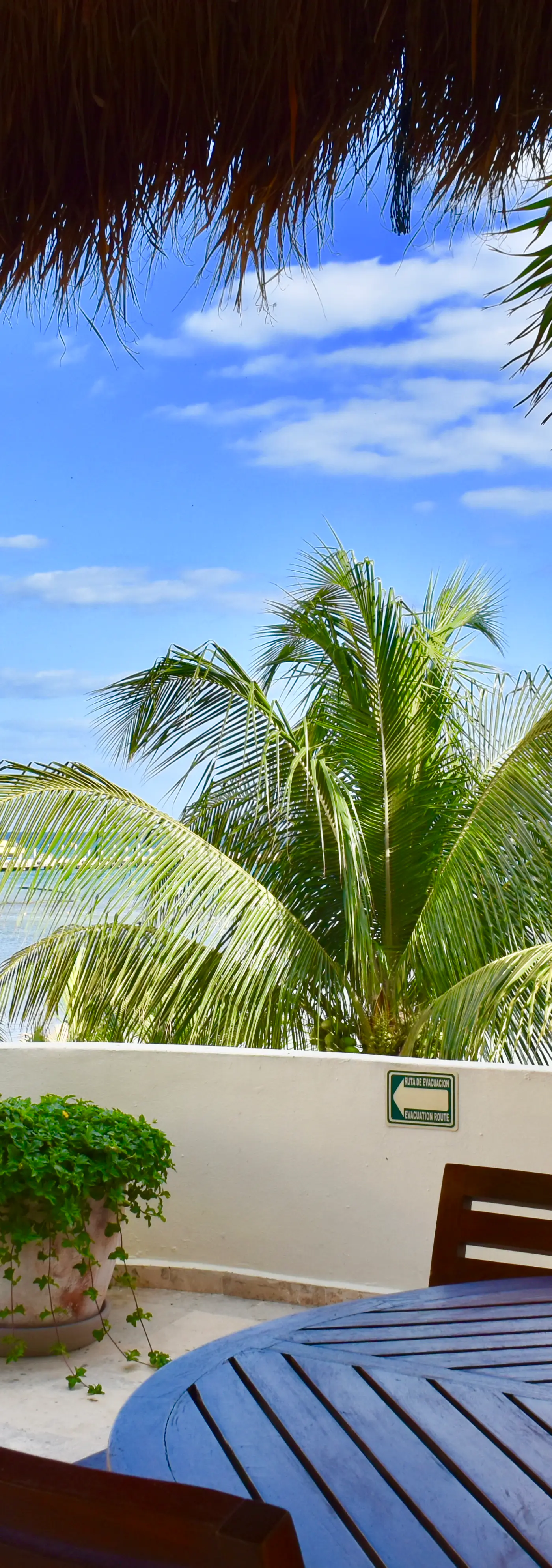 Playa Palms Beach Hotel Playa Palms 312 Ocean Front PH