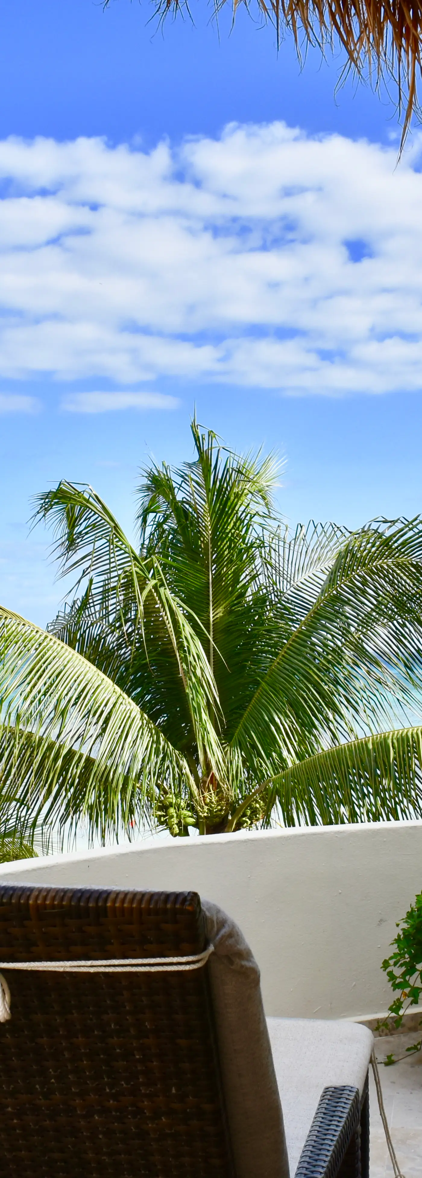 Playa Palms Beach Hotel Playa Palms 312 Ocean Front PH