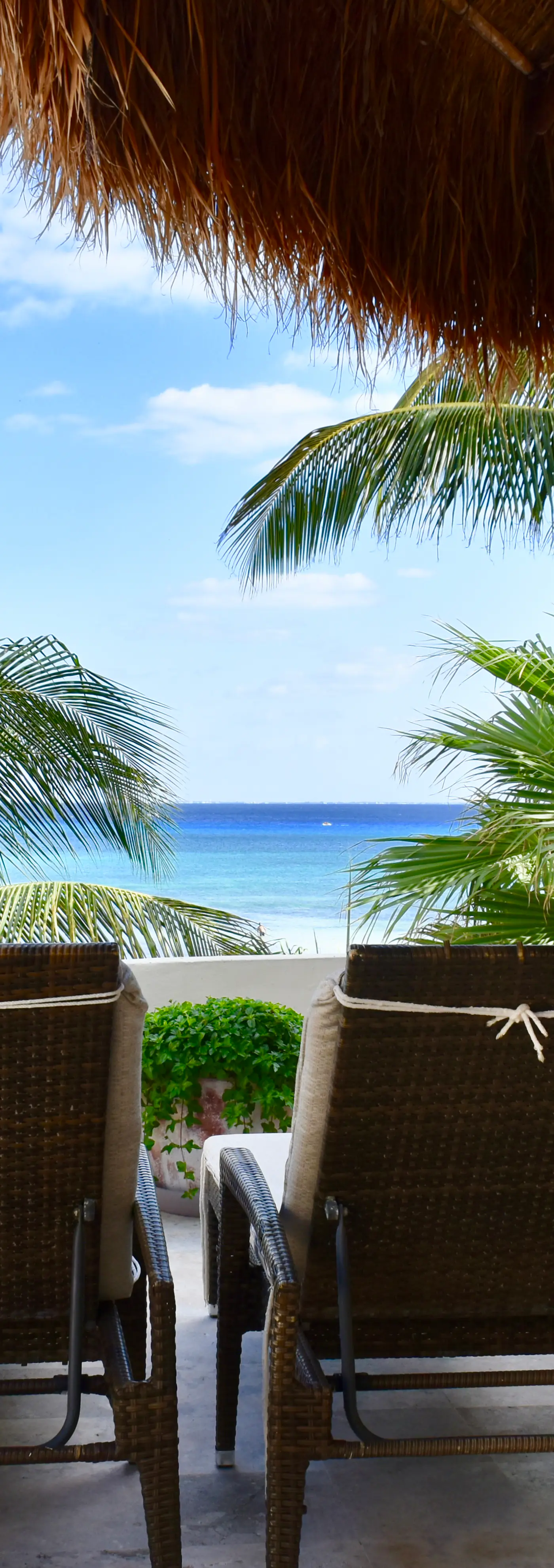 Playa Palms Beach Hotel Playa Palms 312 Ocean Front PH