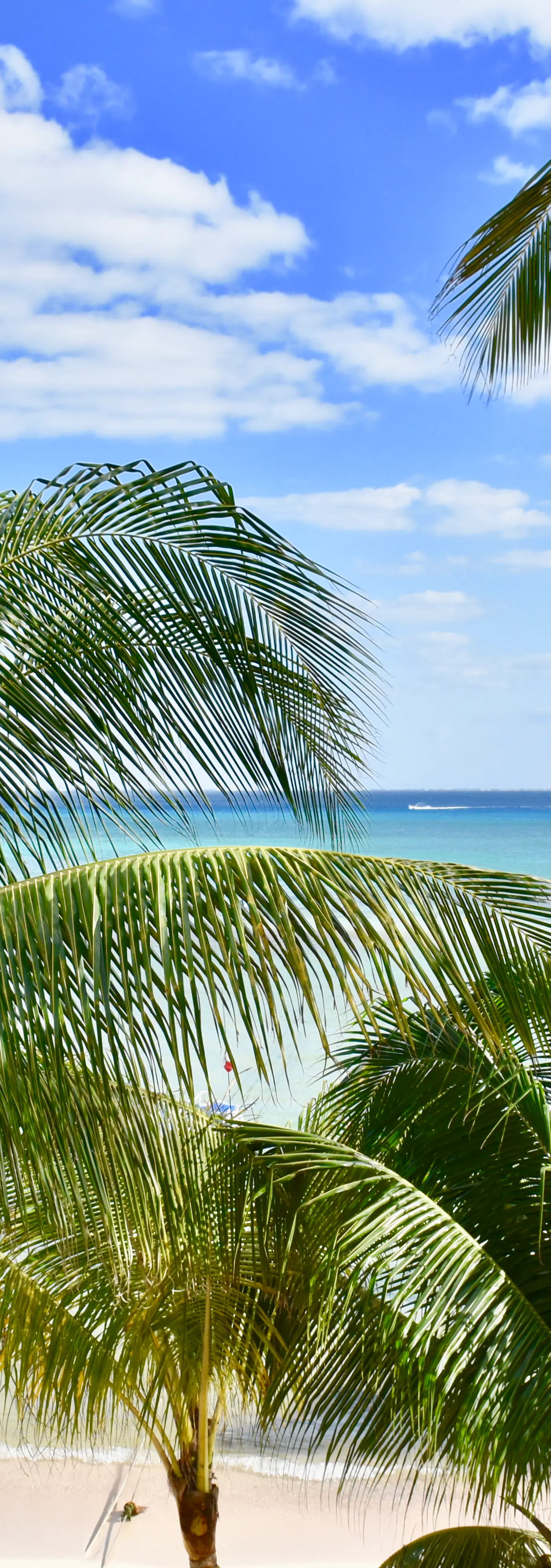 Playa Palms Beach Hotel Playa Palms 312 Ocean Front PH