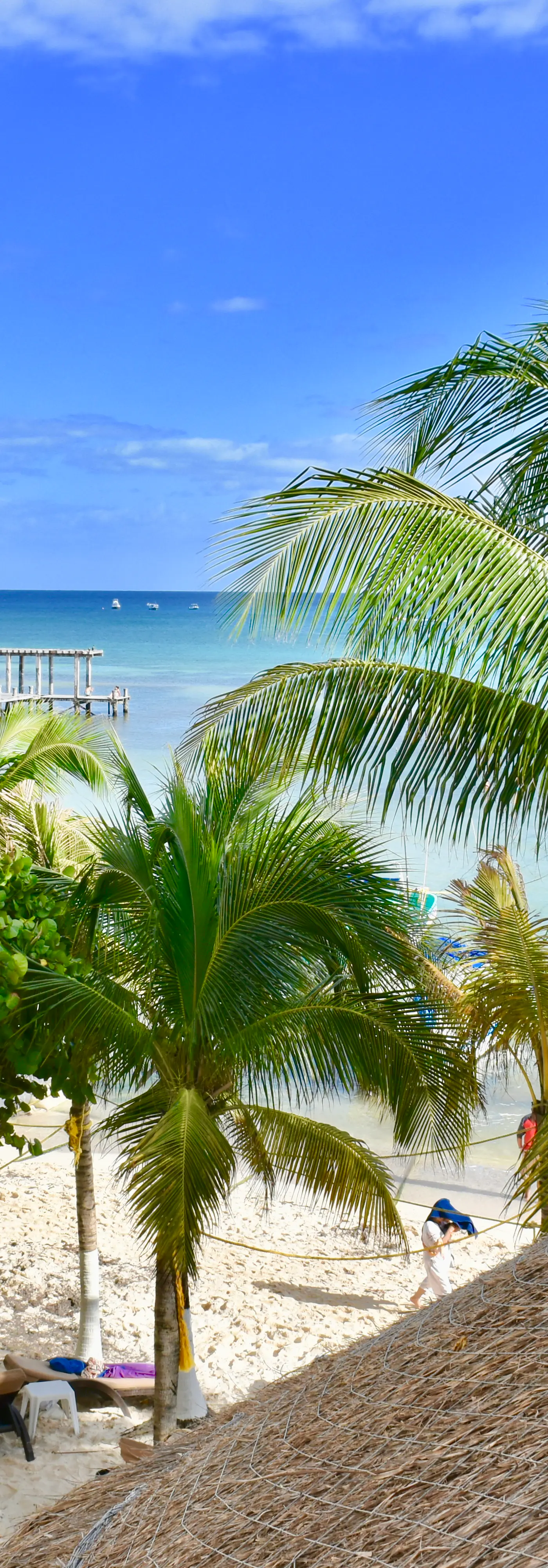 Playa Palms Beach Hotel Playa Palms 312 Ocean Front PH